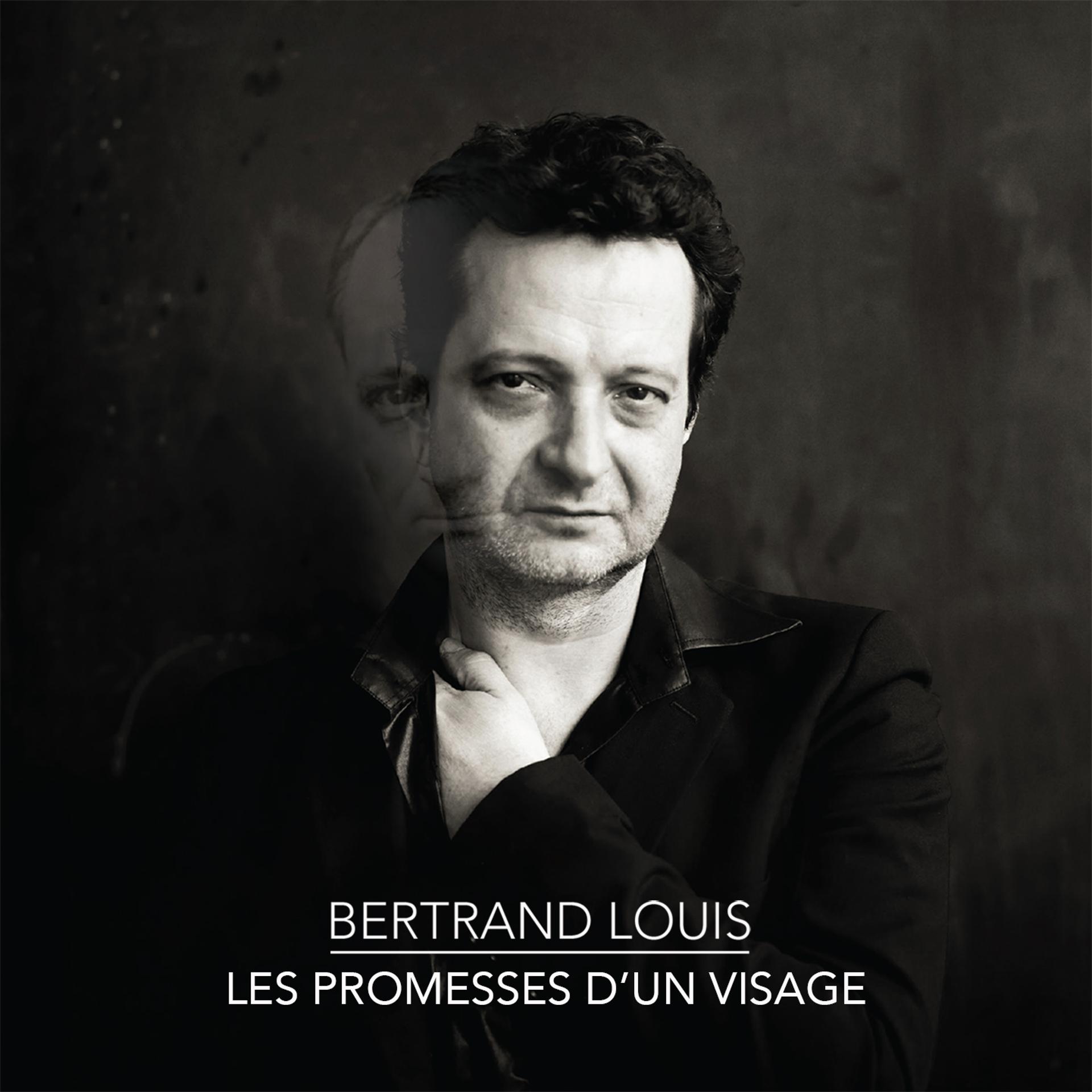 Постер альбома Les promesses d'un visage