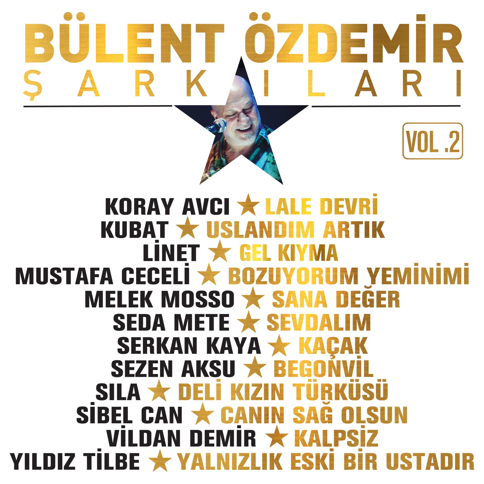 Постер альбома Bülent Özdemir Şarkıları