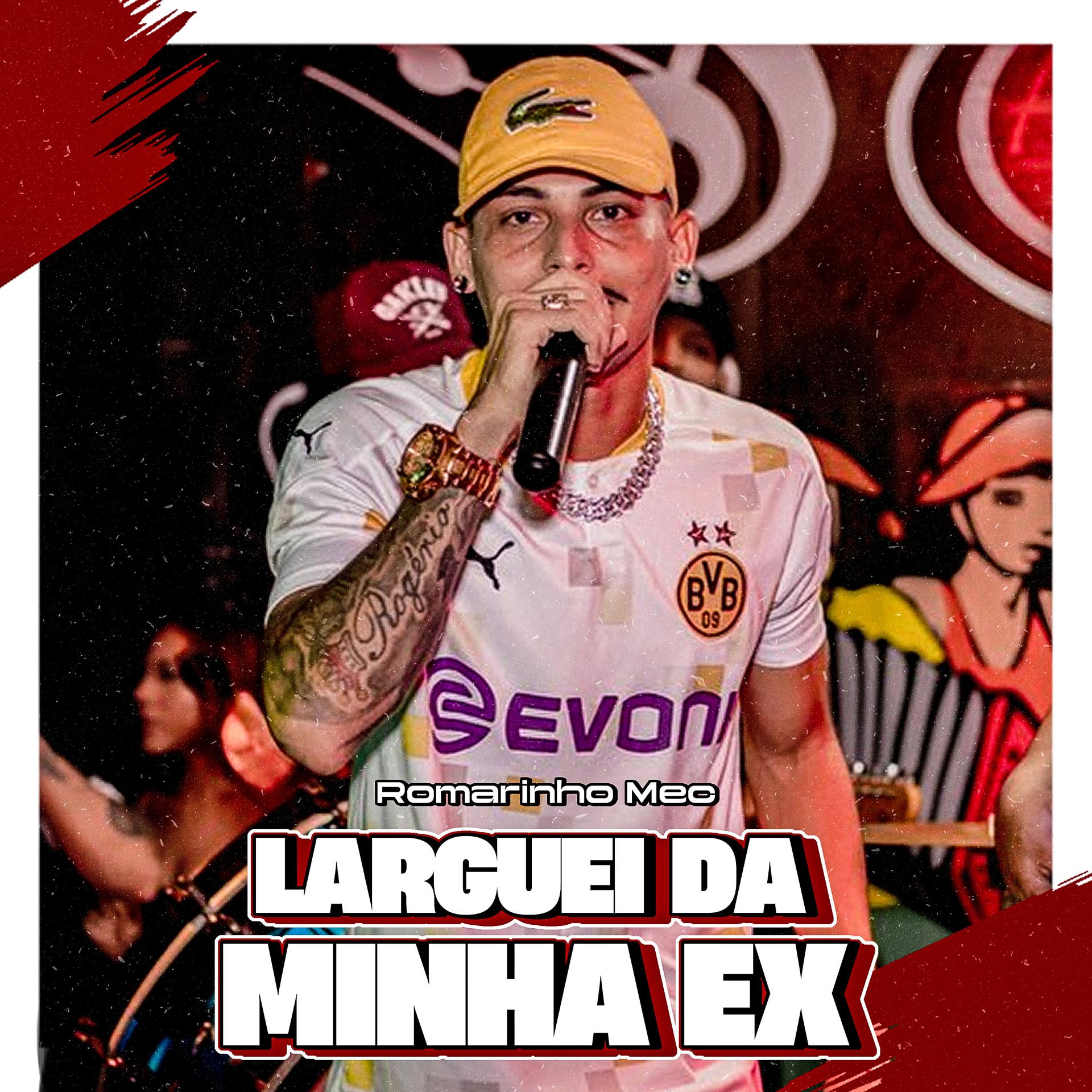 Постер альбома Larguei da Minha Ex