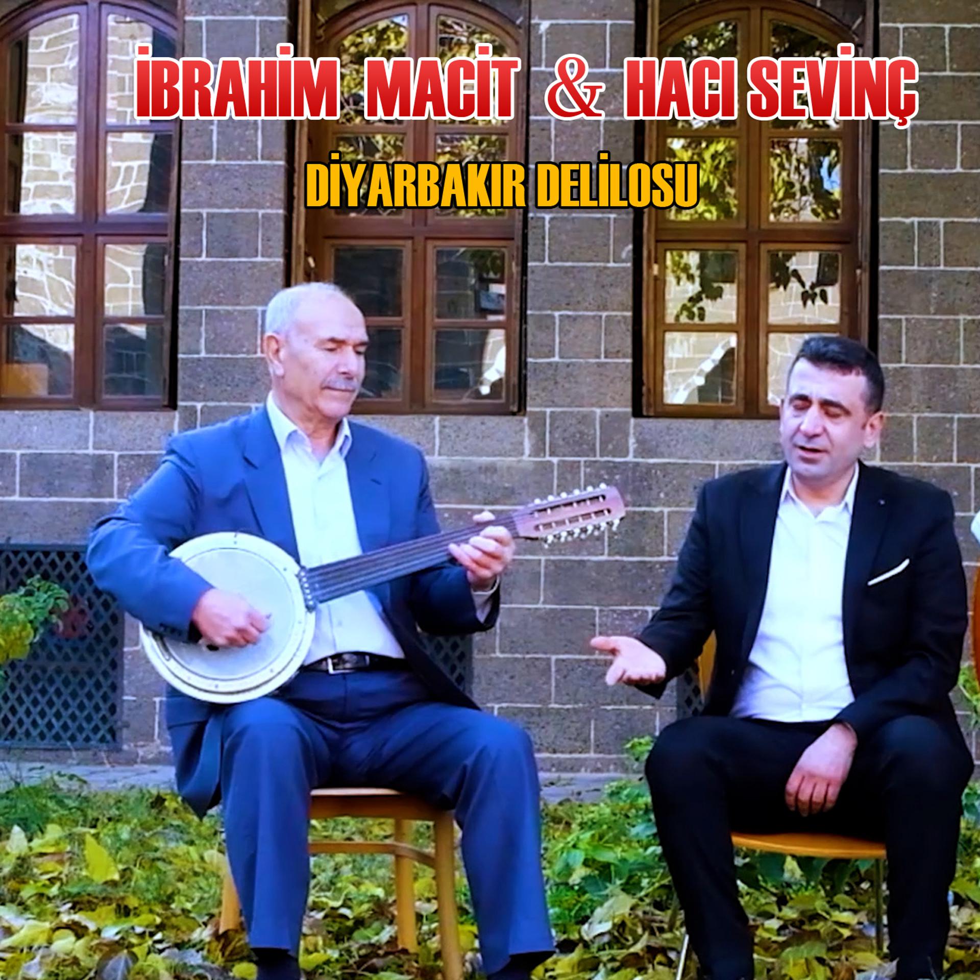 Постер альбома Diyarbakır Delilosu