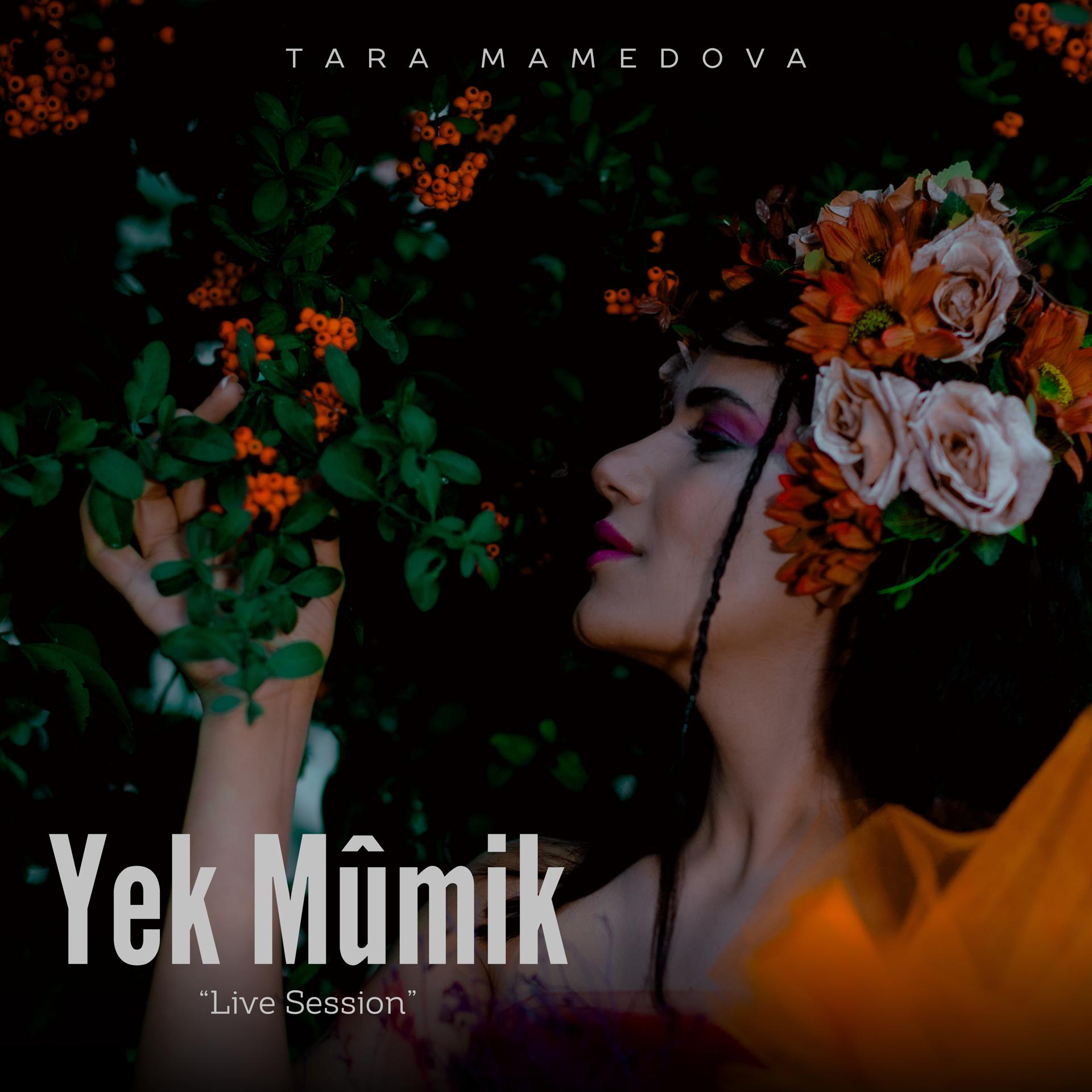 Постер альбома Yek Mûmik