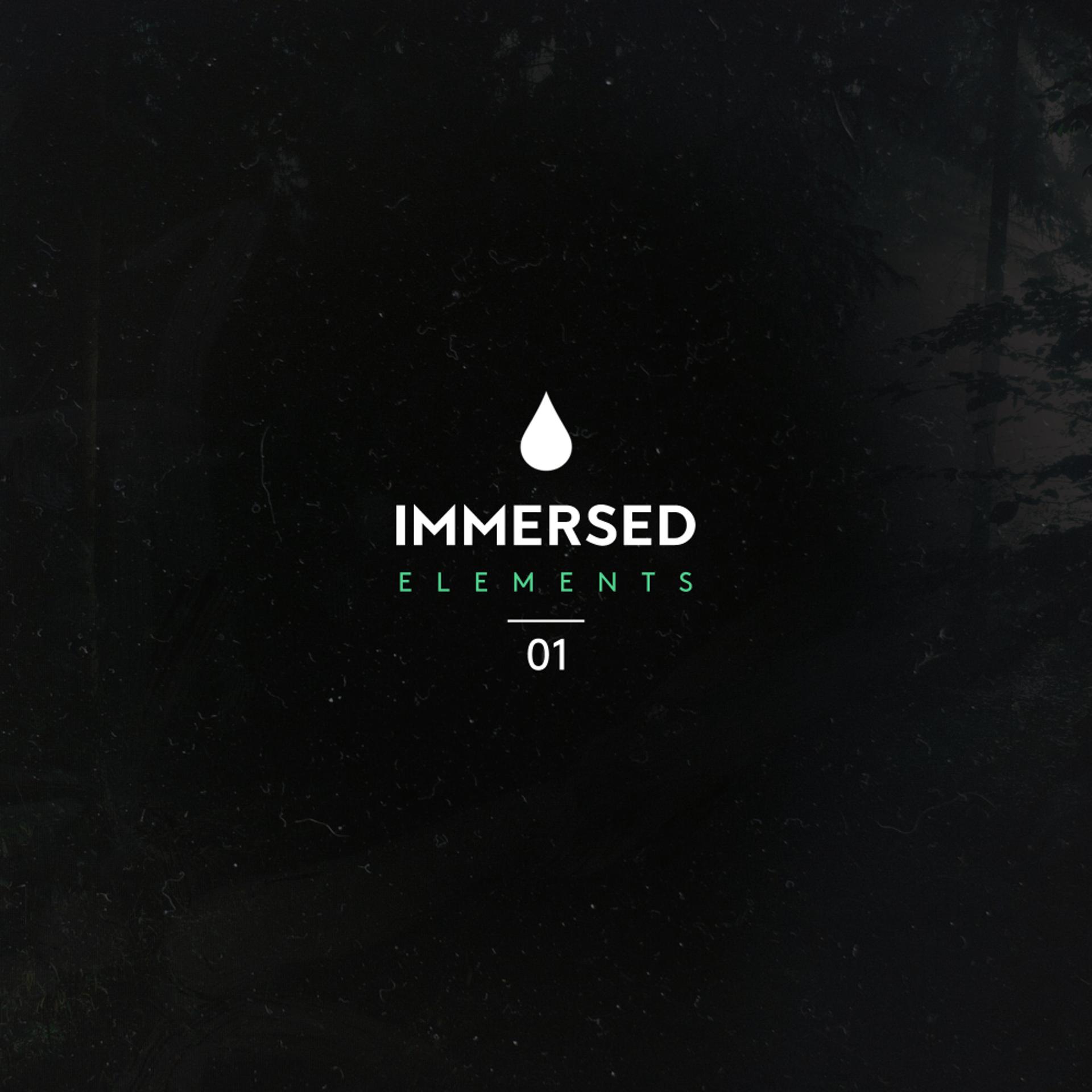 Постер альбома Immersed Elements 01