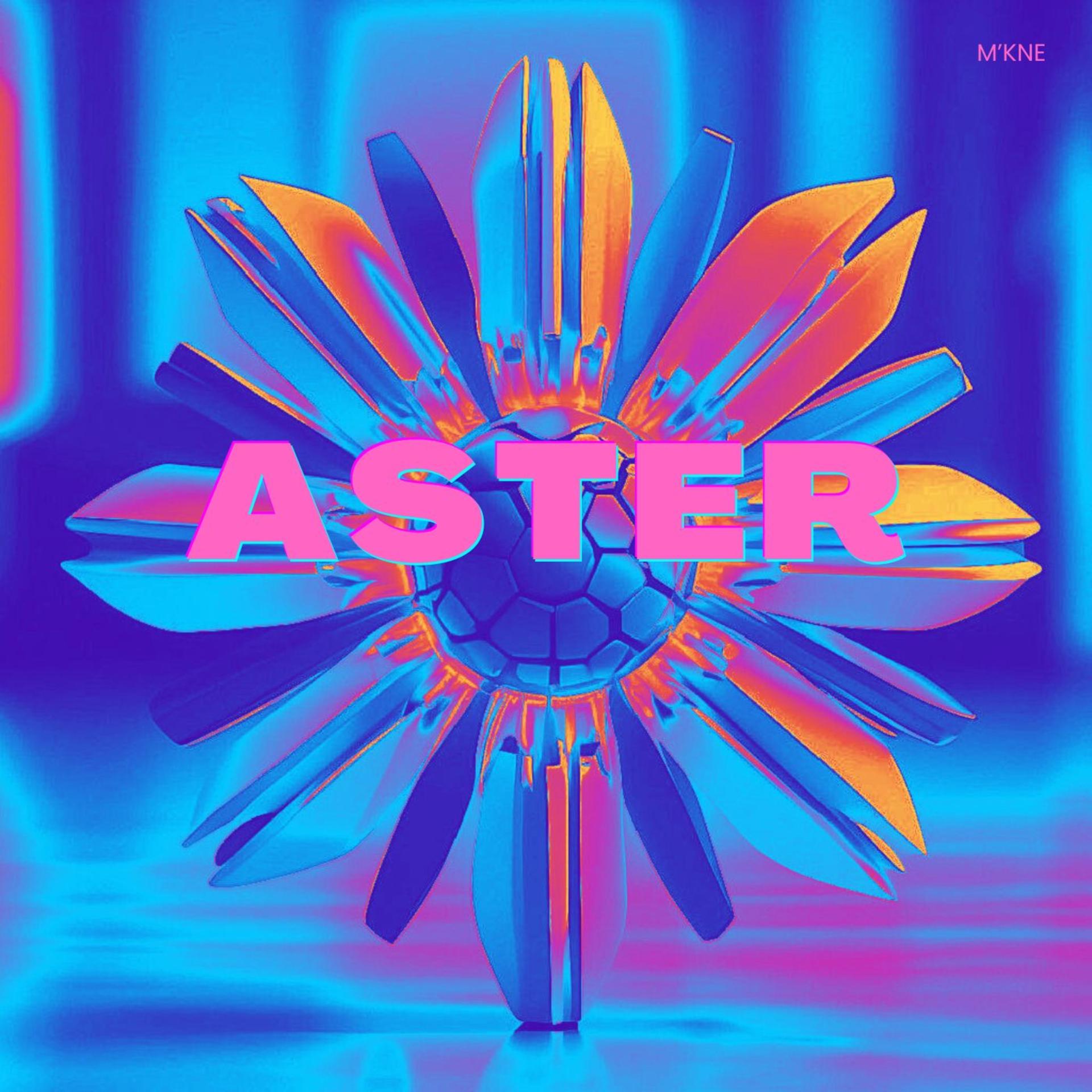 Постер альбома Aster