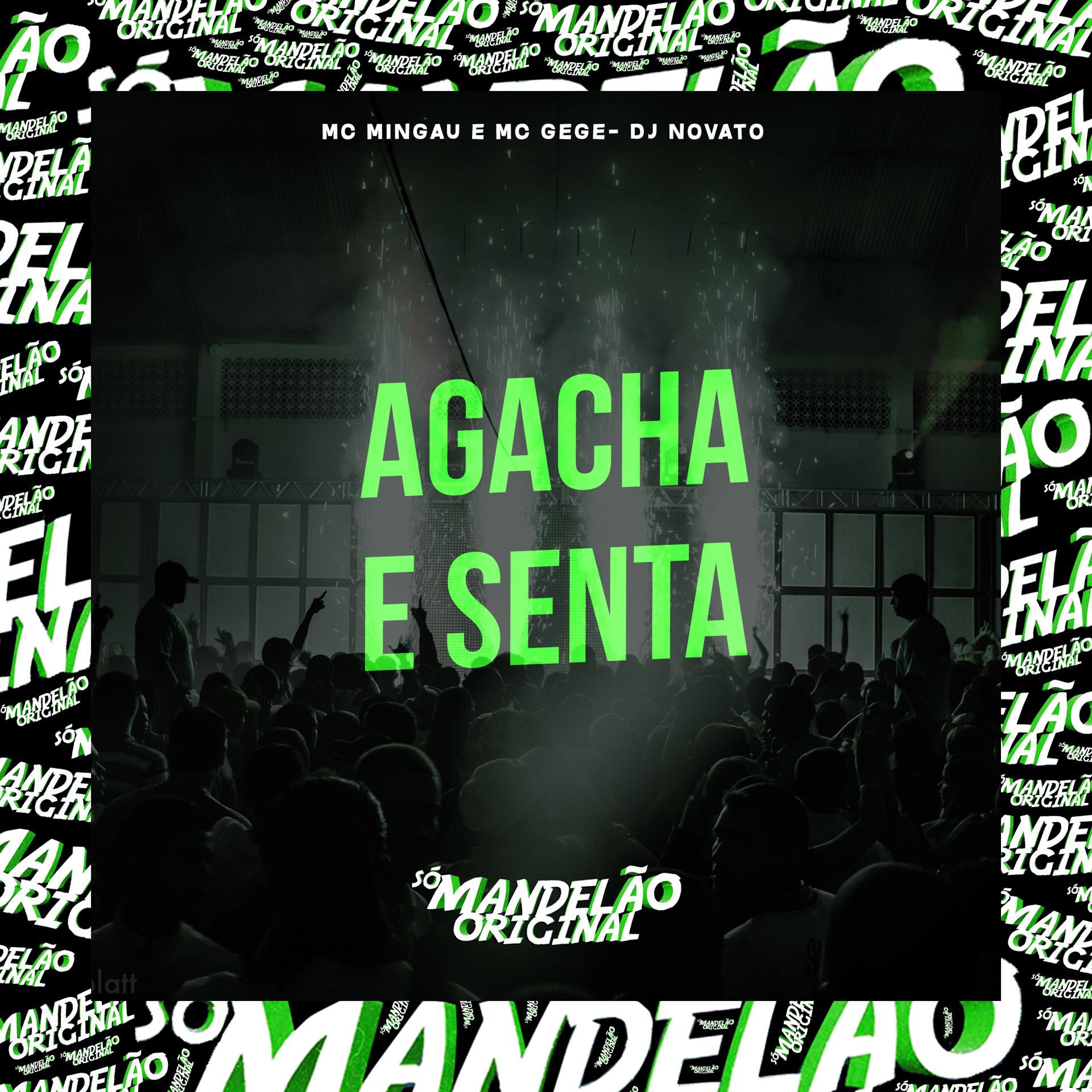 Постер альбома Agacha e Senta