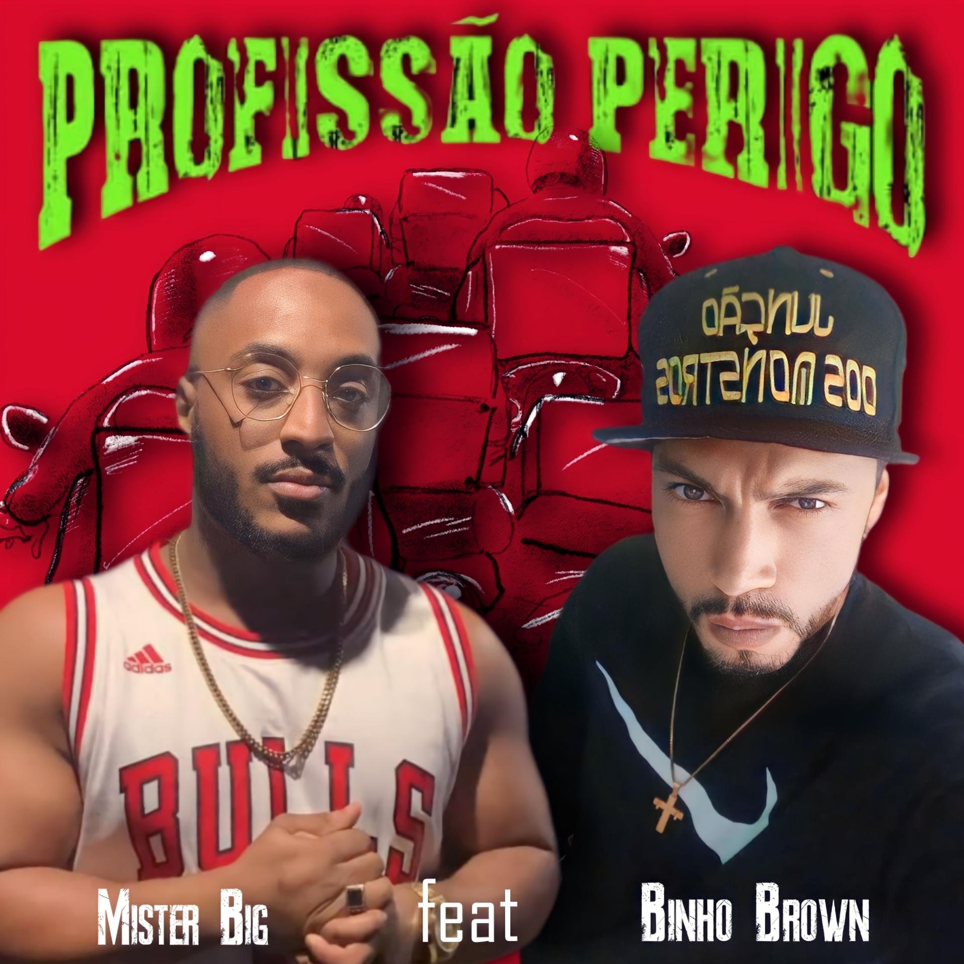 Постер альбома Profissão Perigo