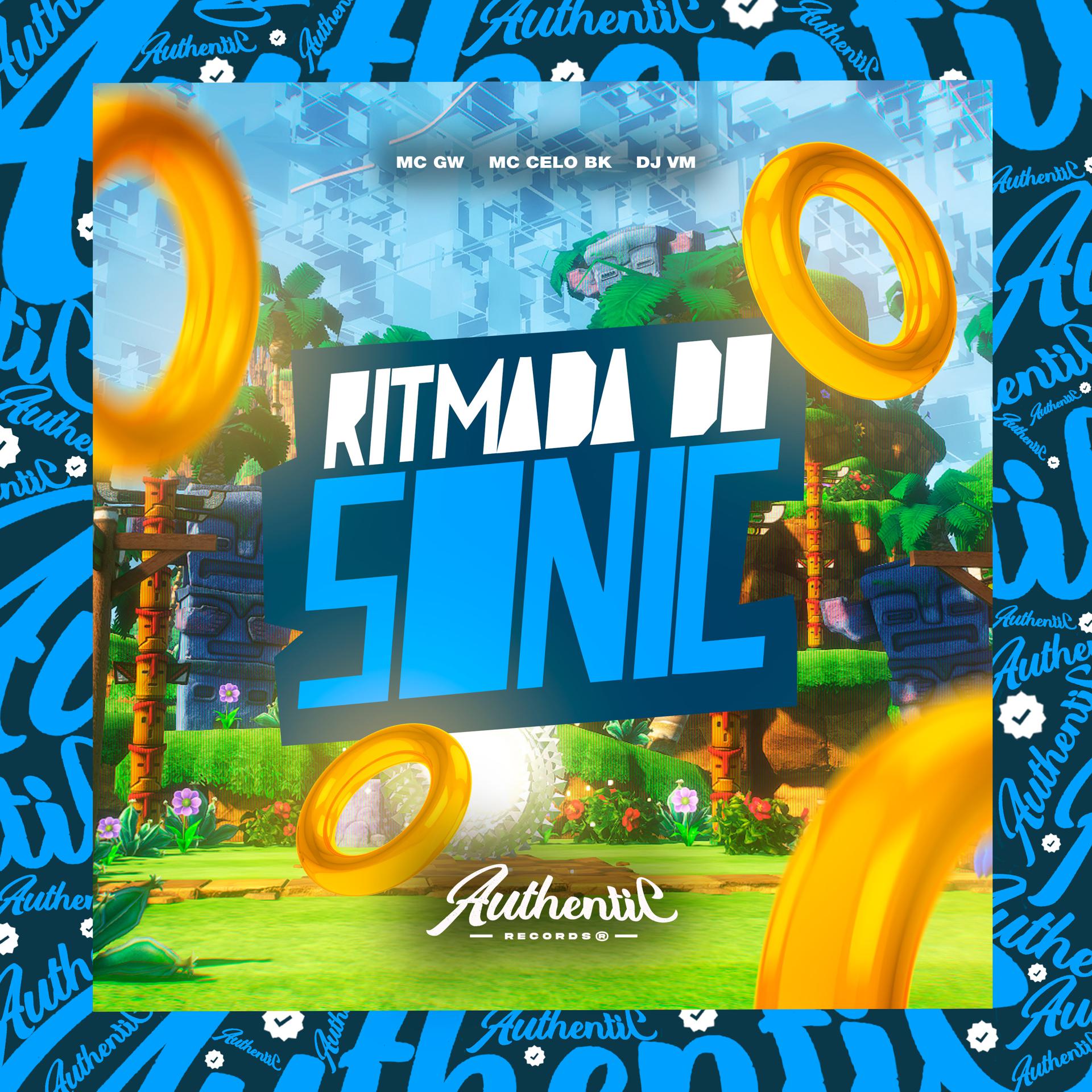 Постер альбома Ritmada do Sonic