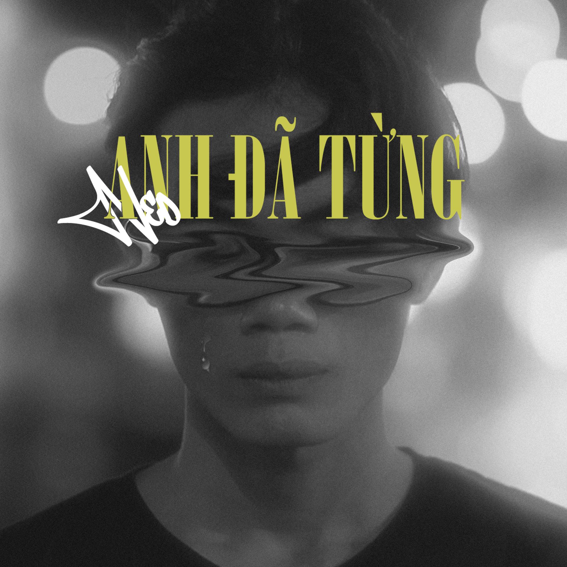 Постер альбома Anh Đã Từng