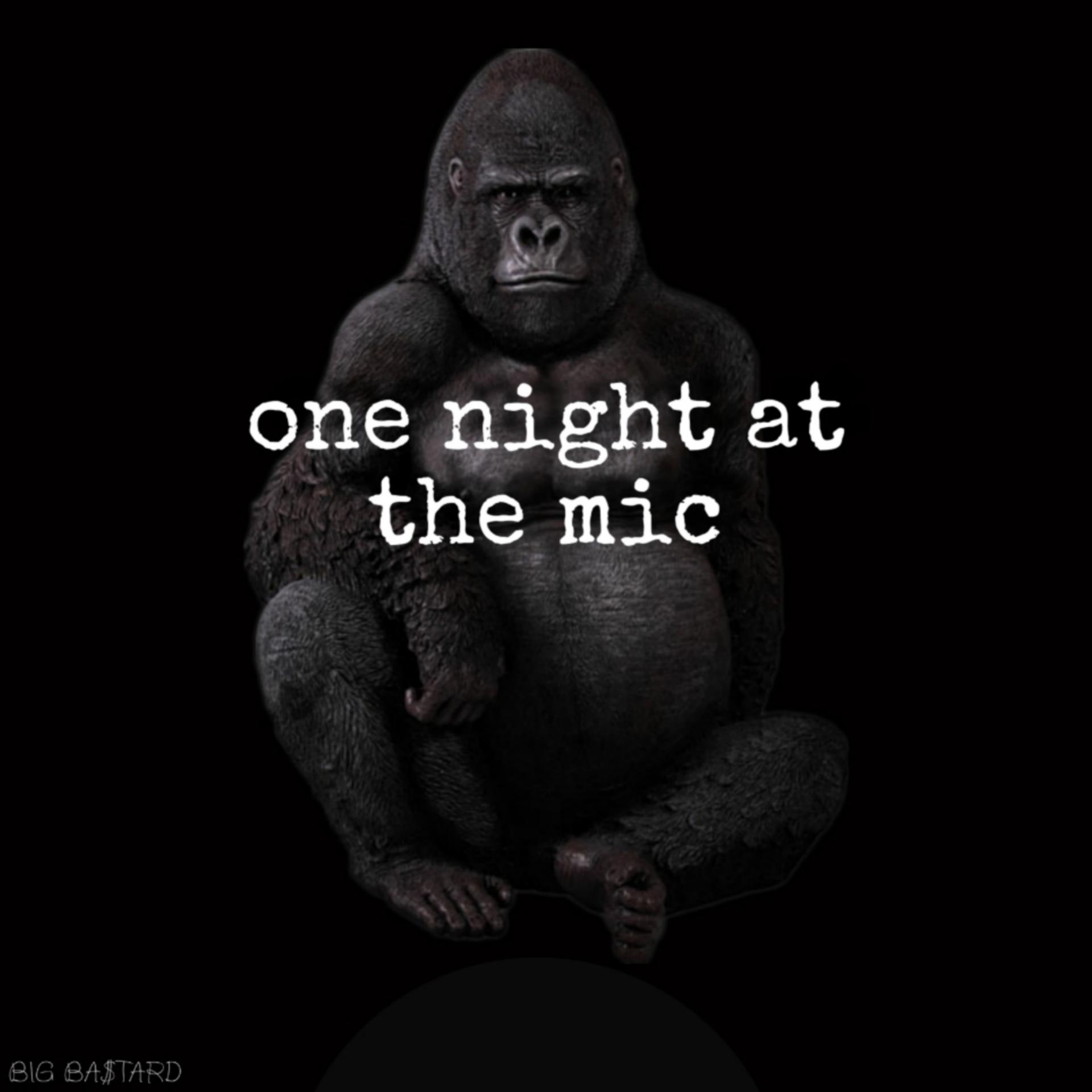 Постер альбома One Night at the Mic