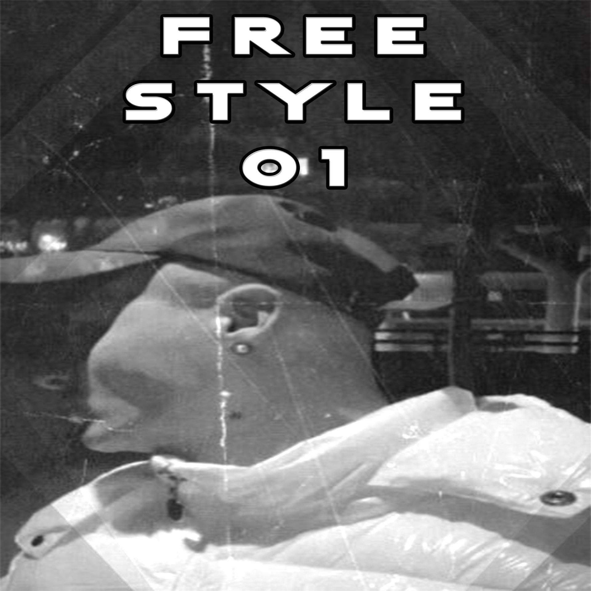 Постер альбома Freestyle 01