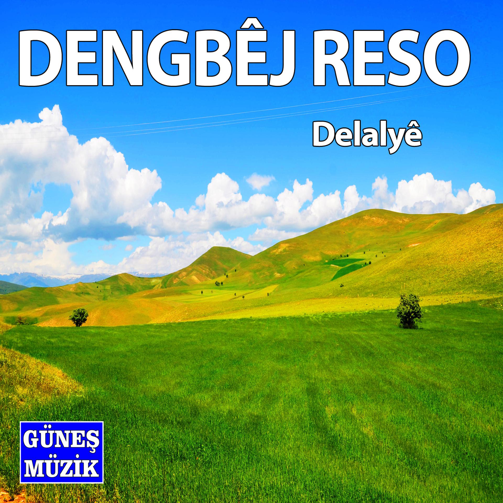 Постер альбома Delalyê