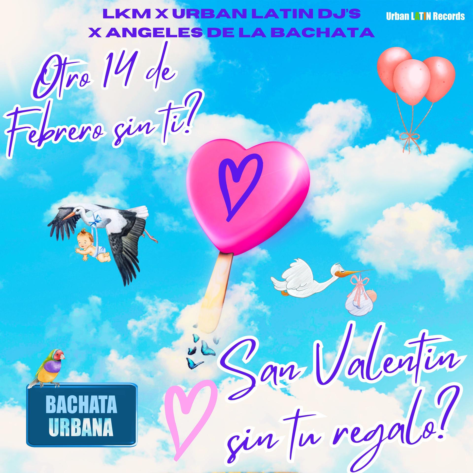 Постер альбома Otro 14 de Febrero sin ti, San Valentin sin tu regalo ?