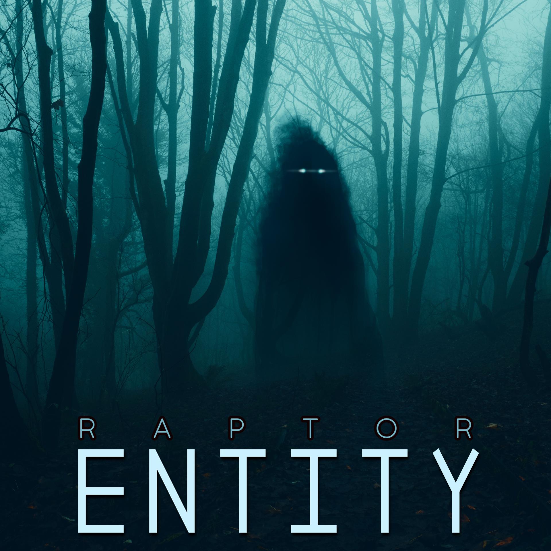 Постер альбома Entity