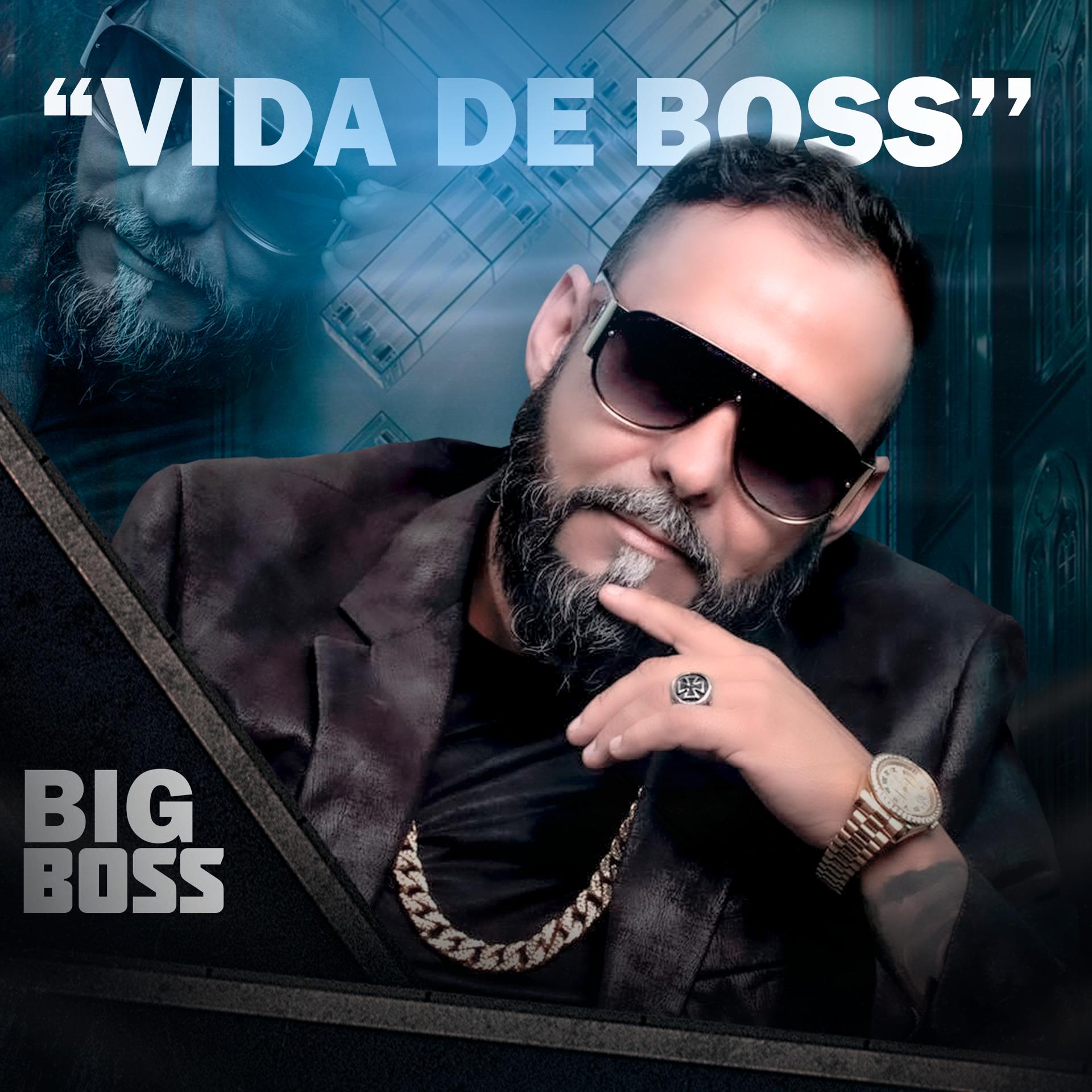 Постер альбома Vida de Boss