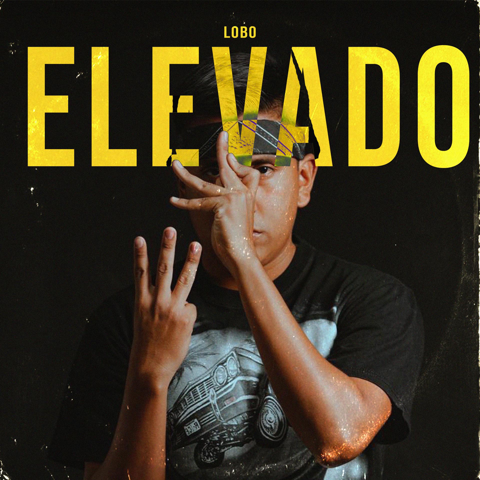 Постер альбома Elevado