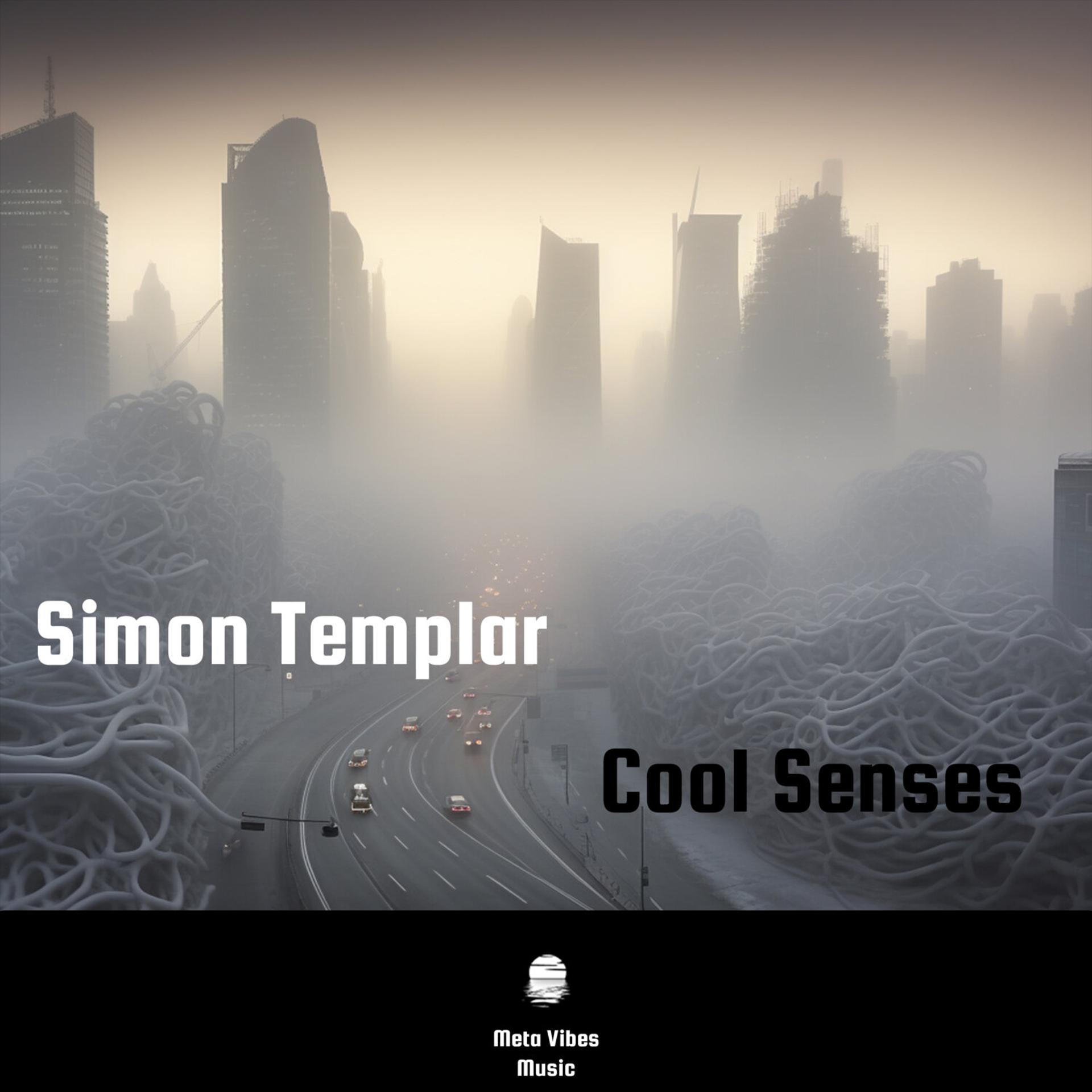 Постер альбома Cool Senses