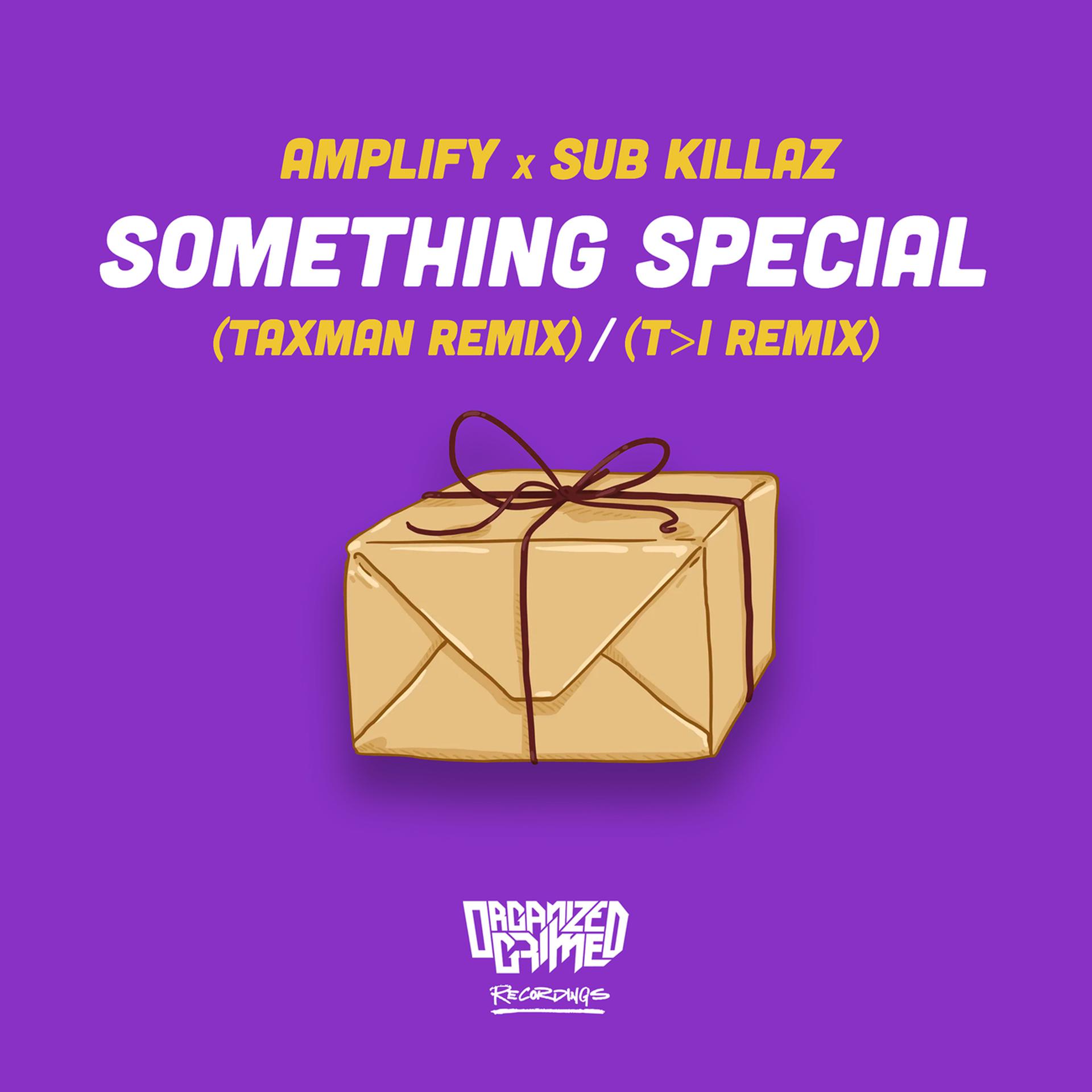 Постер альбома Something Special (Taxman Remix) / (T>I Remix)