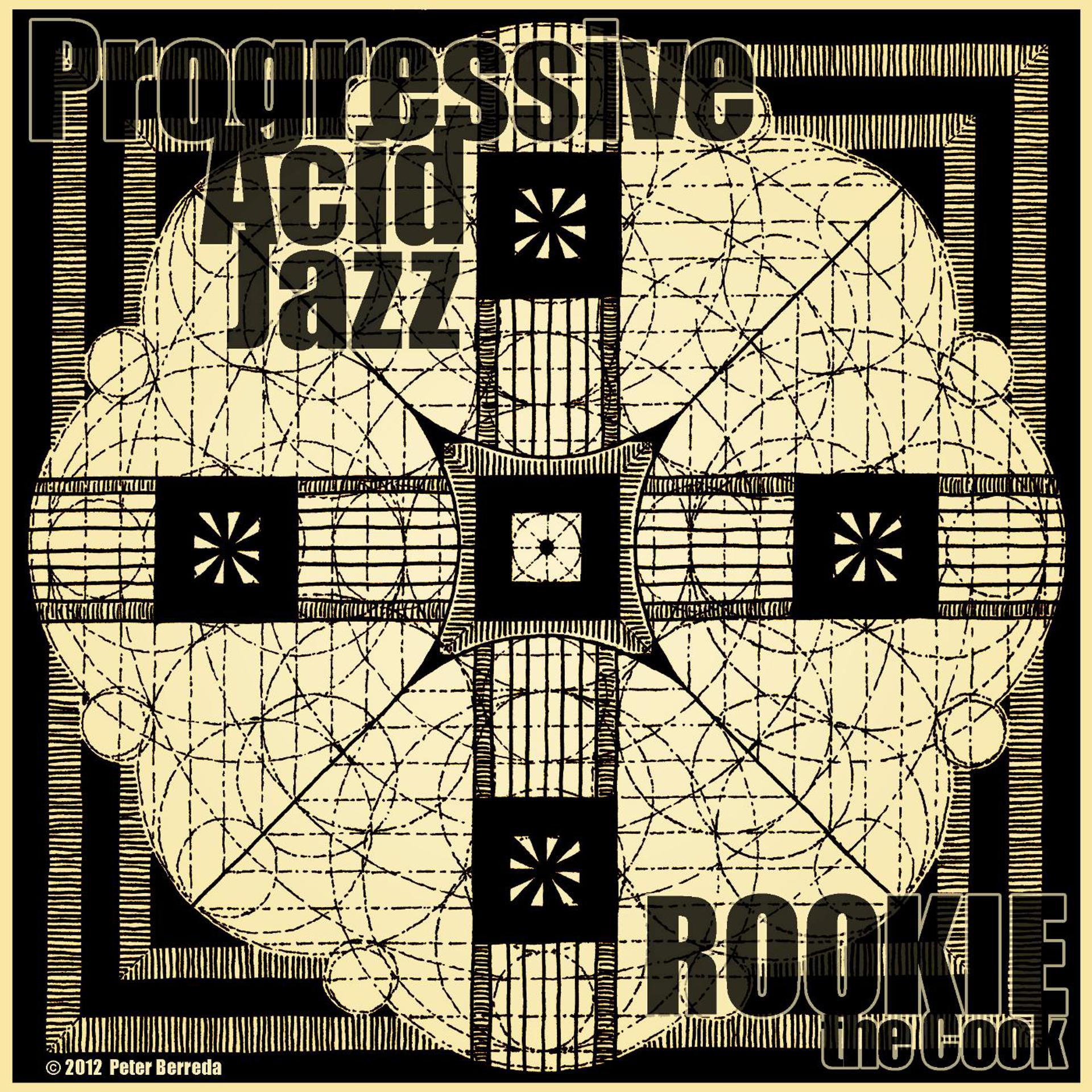 Постер альбома Progressive Acid Jazz