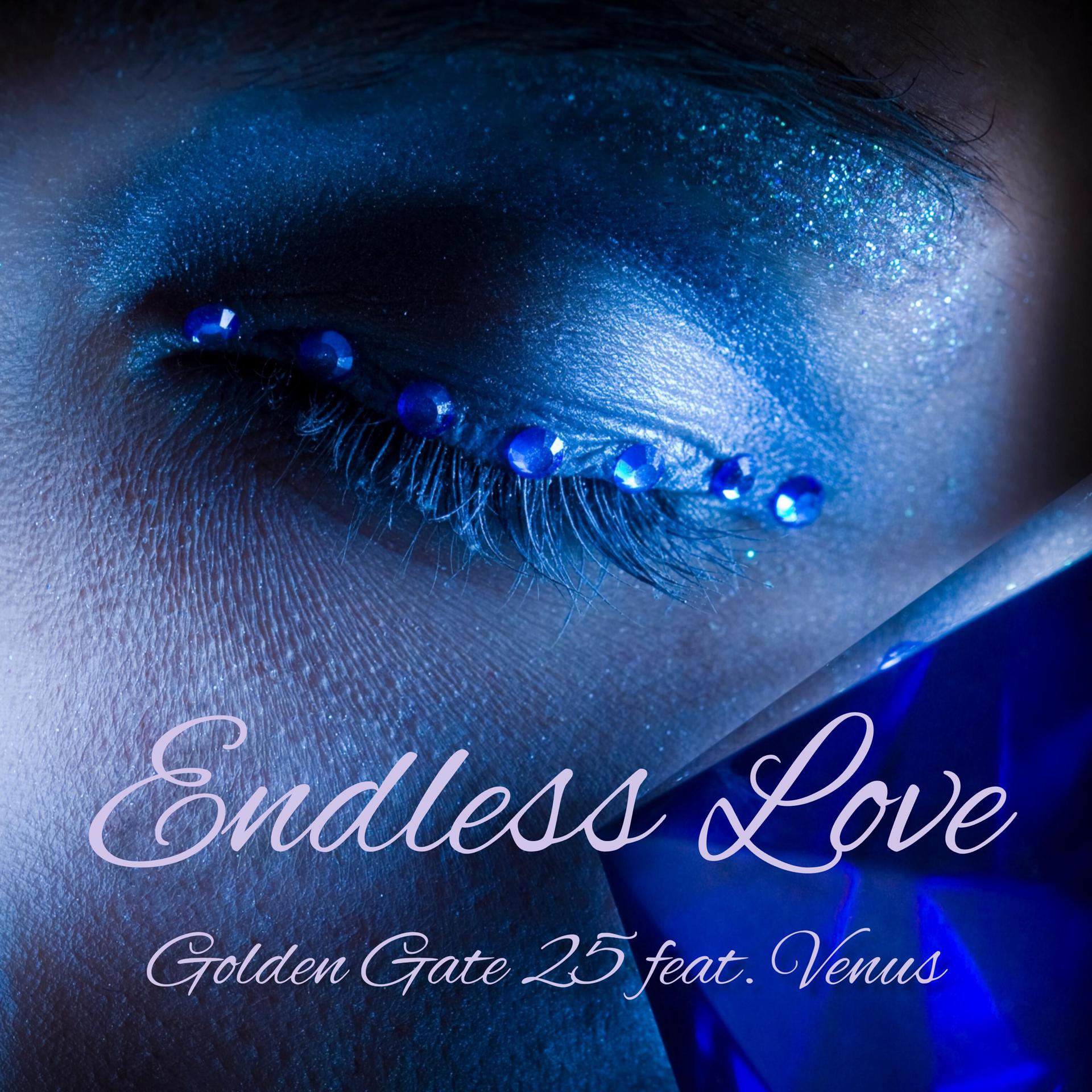 Постер альбома Endless Love (feat. Venus)