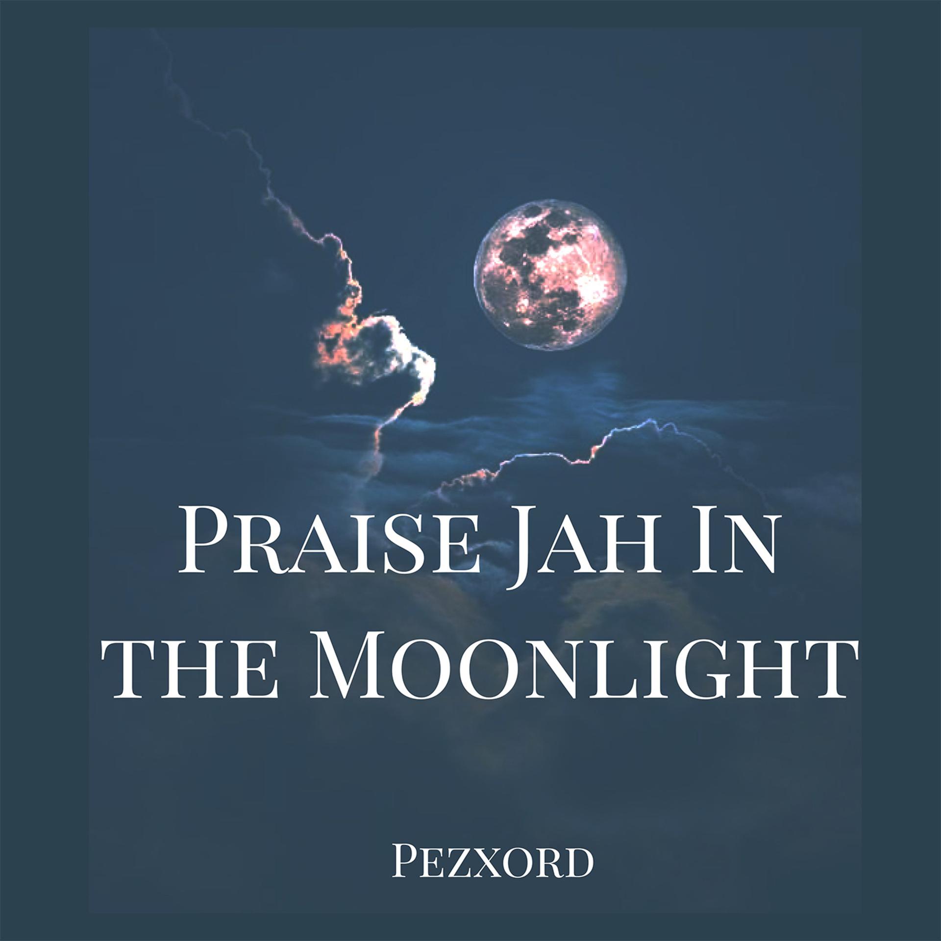 Постер альбома Praise Jah in the Moonlight