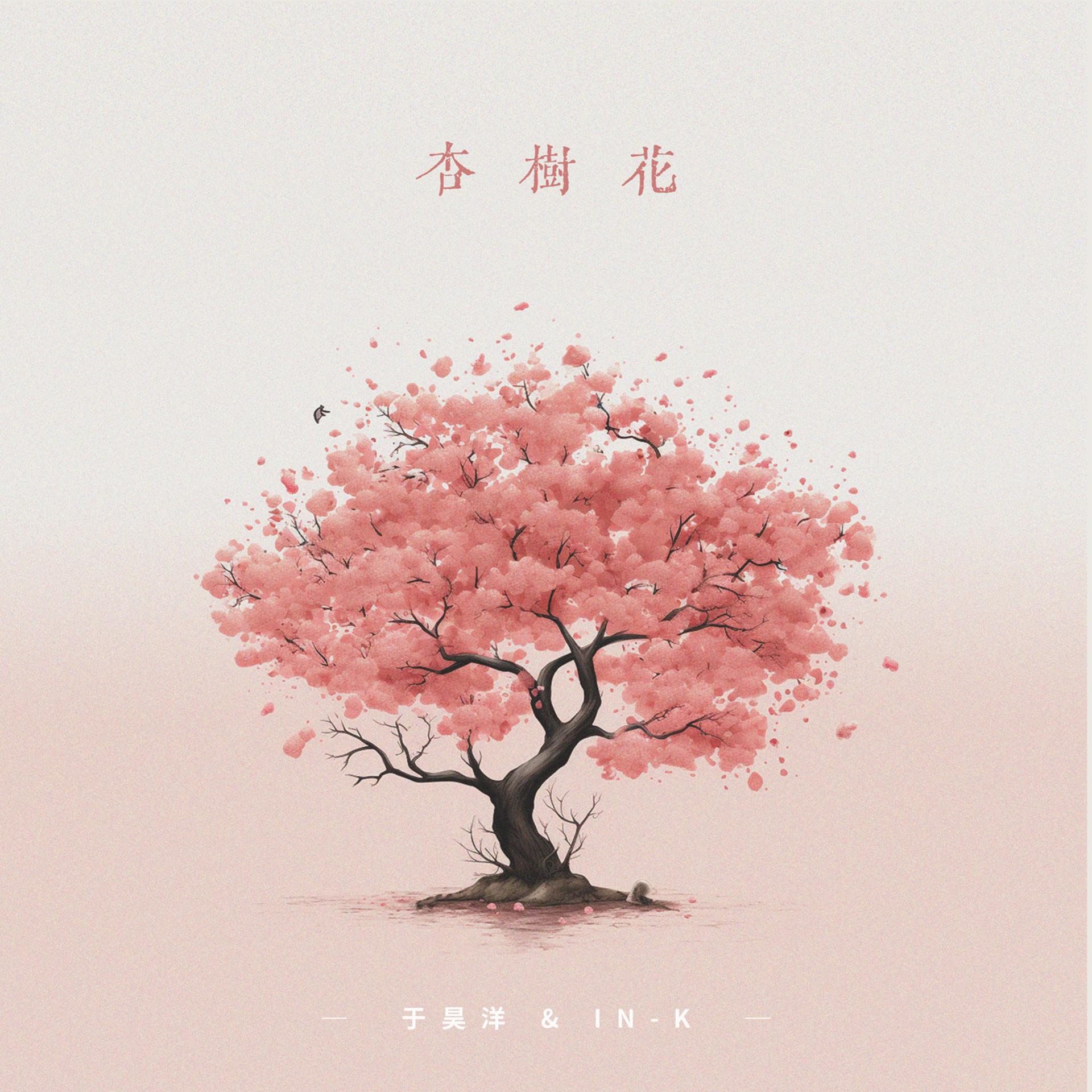 Постер альбома 杏树花