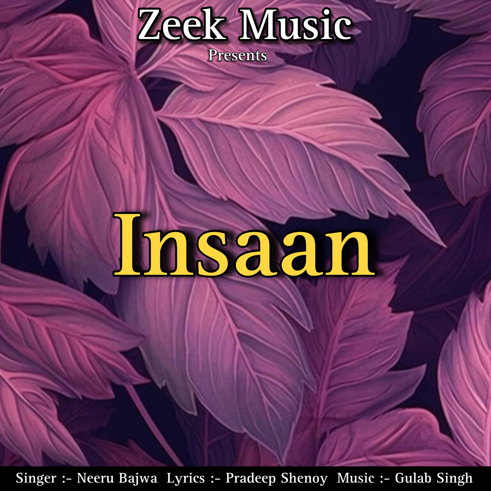 Постер альбома Insaan