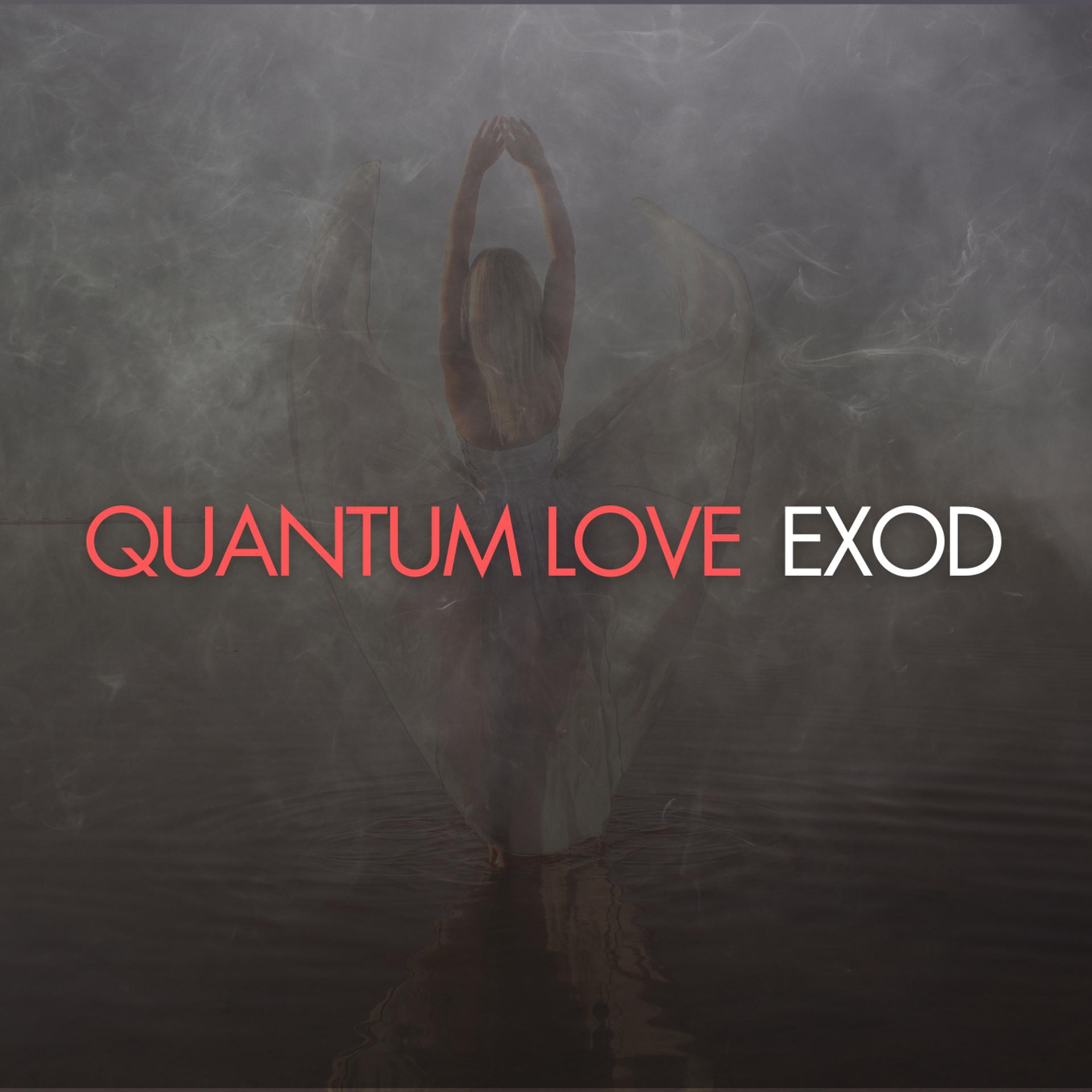 Постер альбома Quantum love