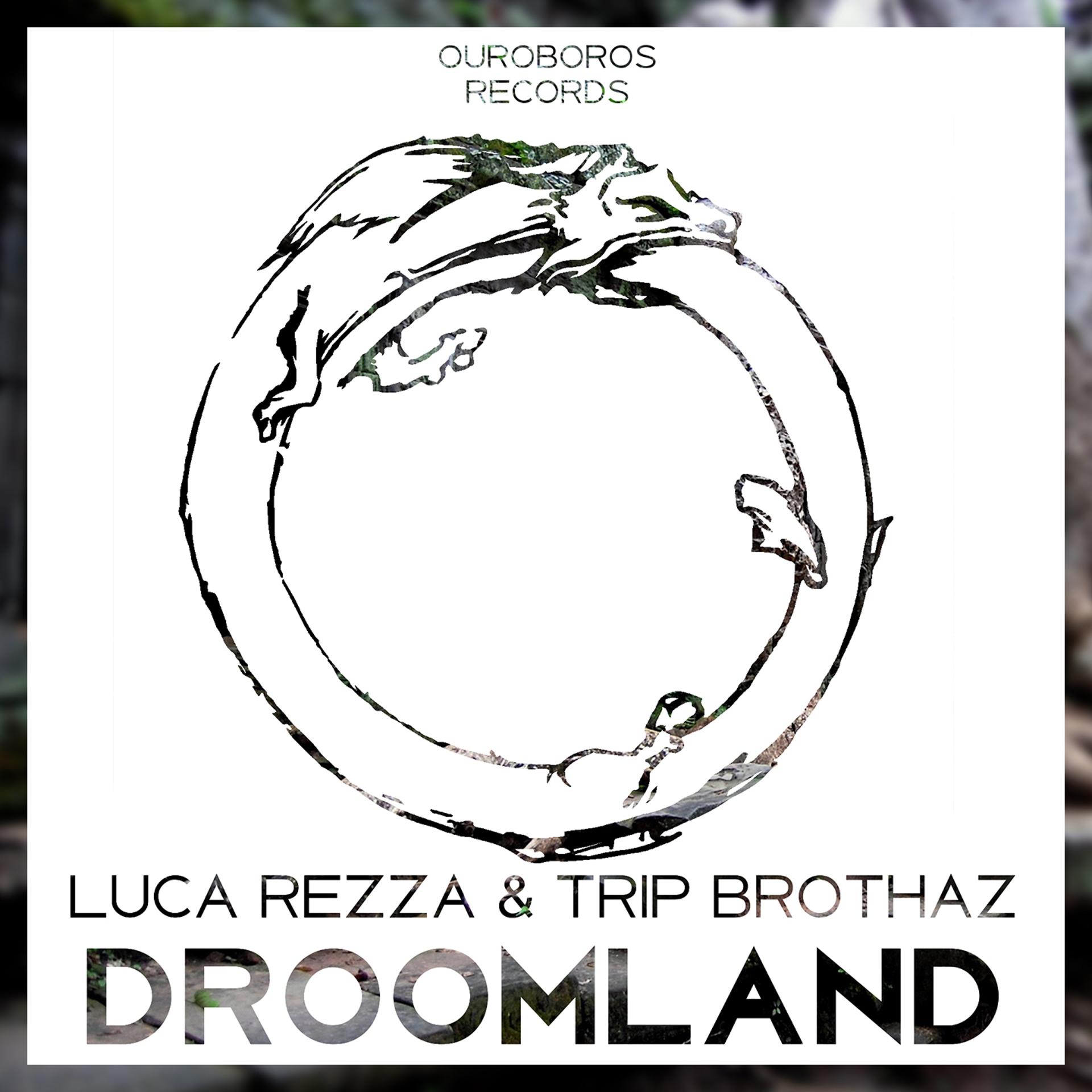 Постер альбома Droomland