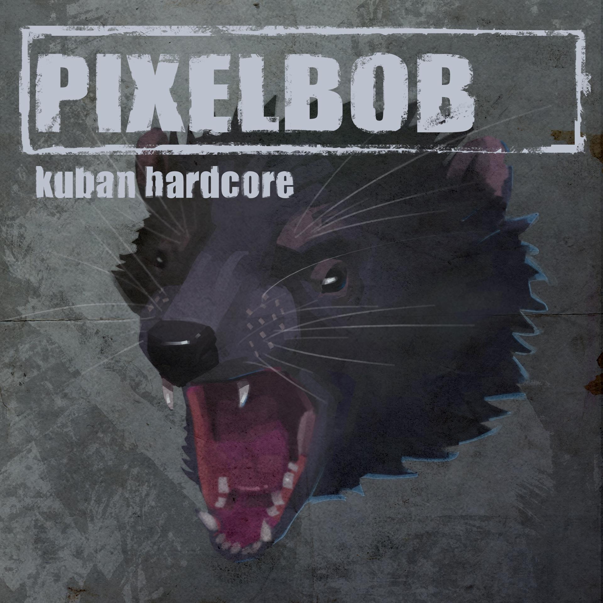 Постер альбома Kuban Hardcore