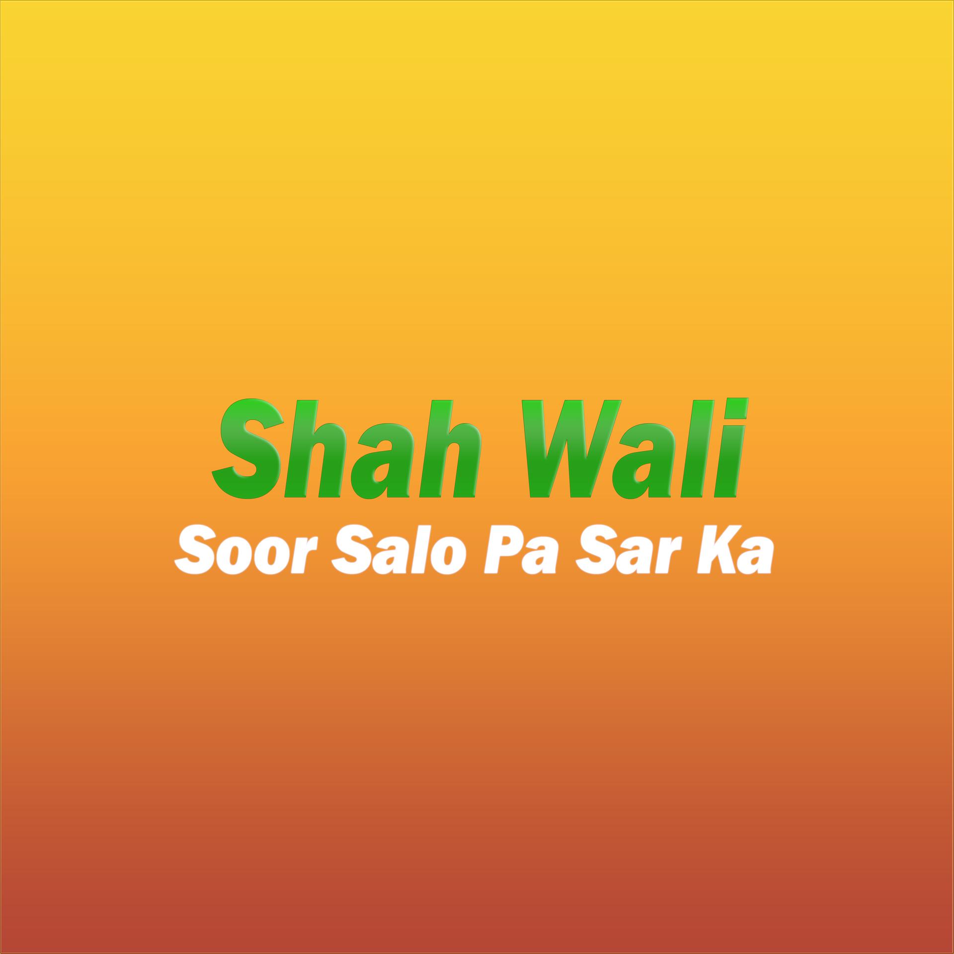 Постер альбома Soor Salo Pa Sar Ka