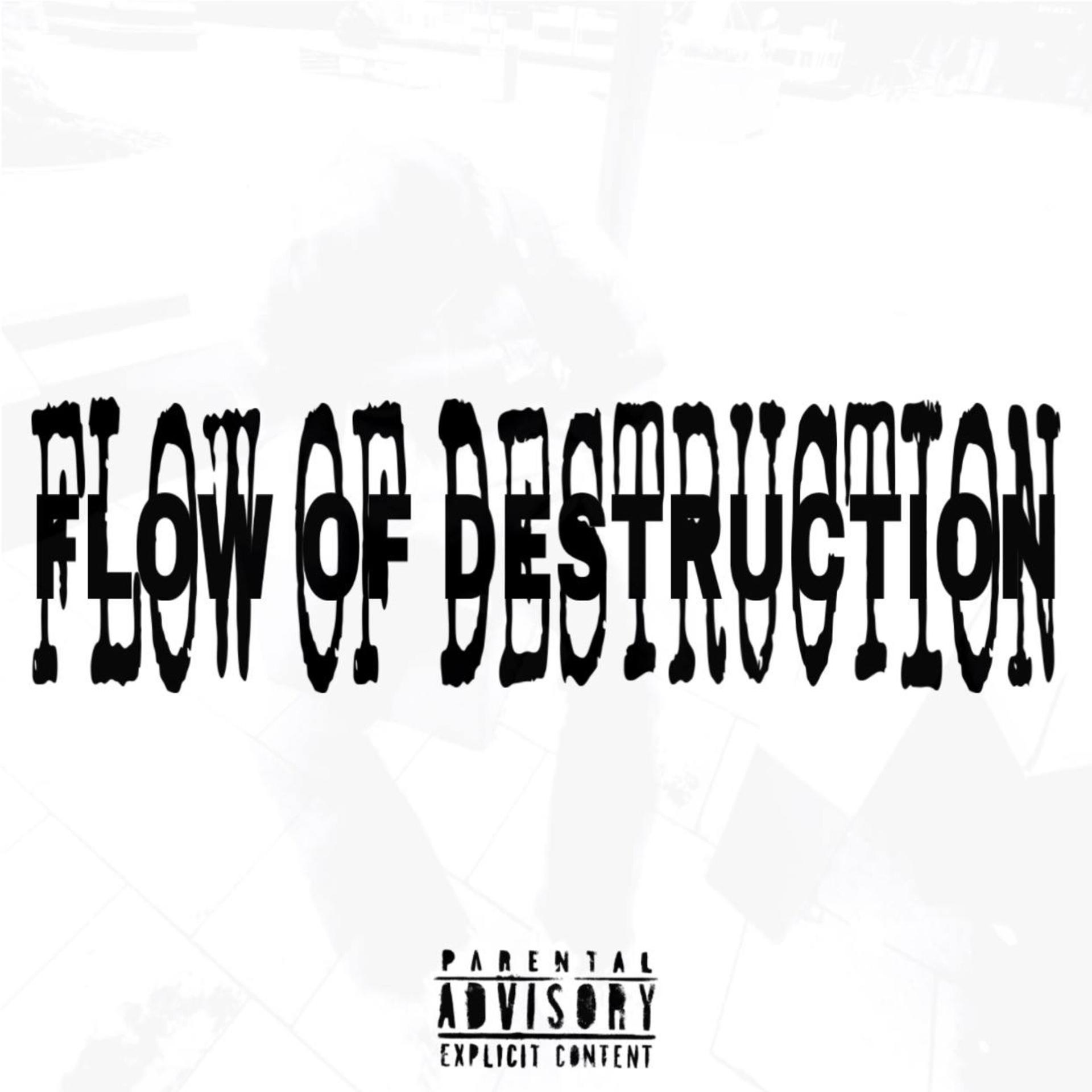 Постер альбома Flow of Destruction