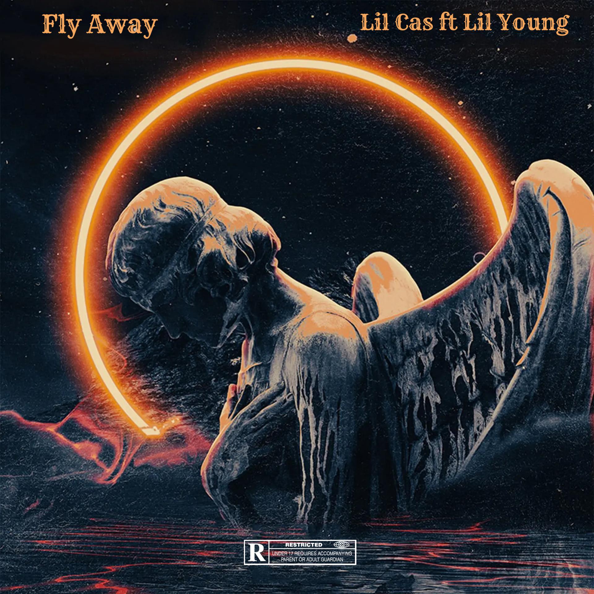 Постер альбома Fly Away (feat. Lil Young)