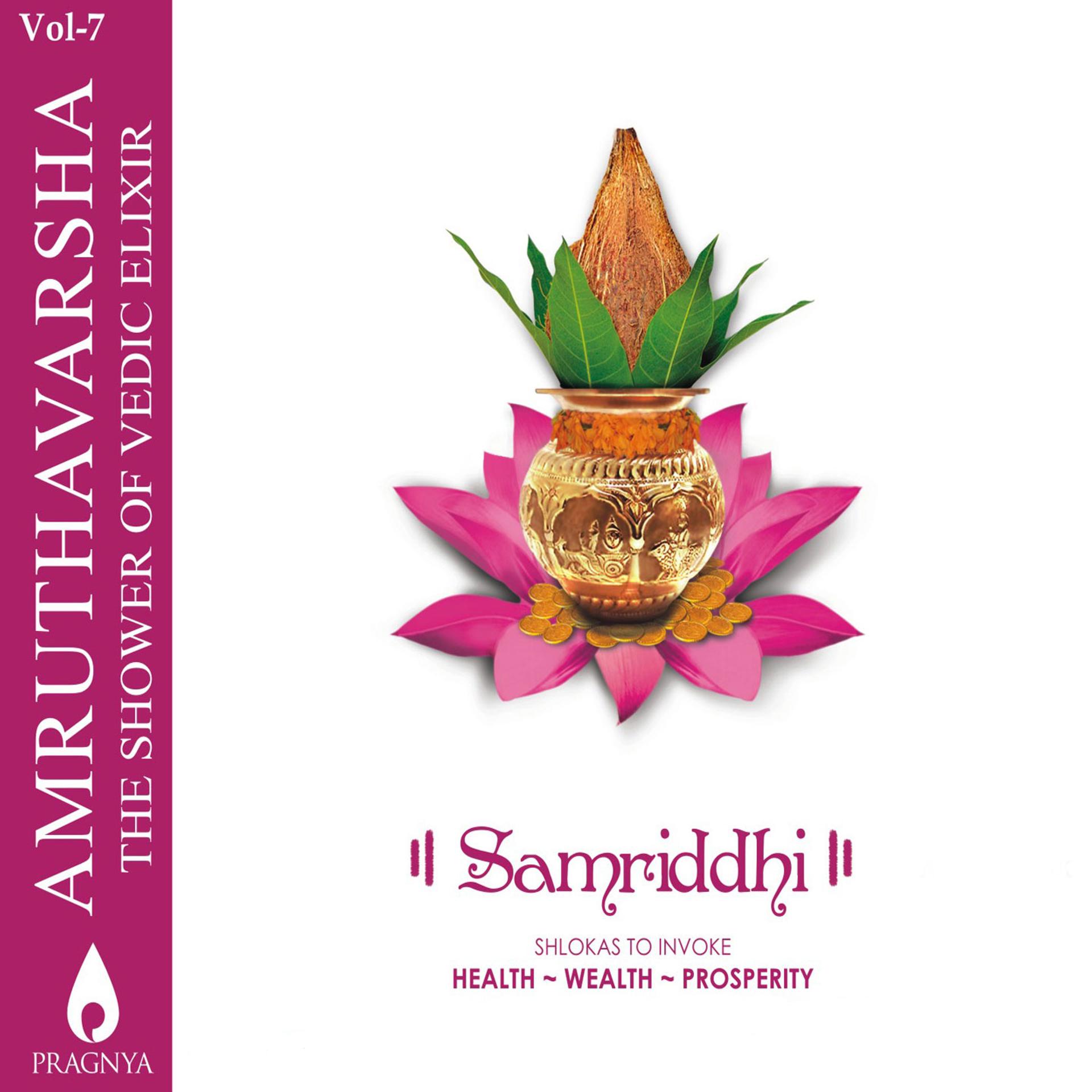 Постер альбома Amruthavarsha, Vol. 7