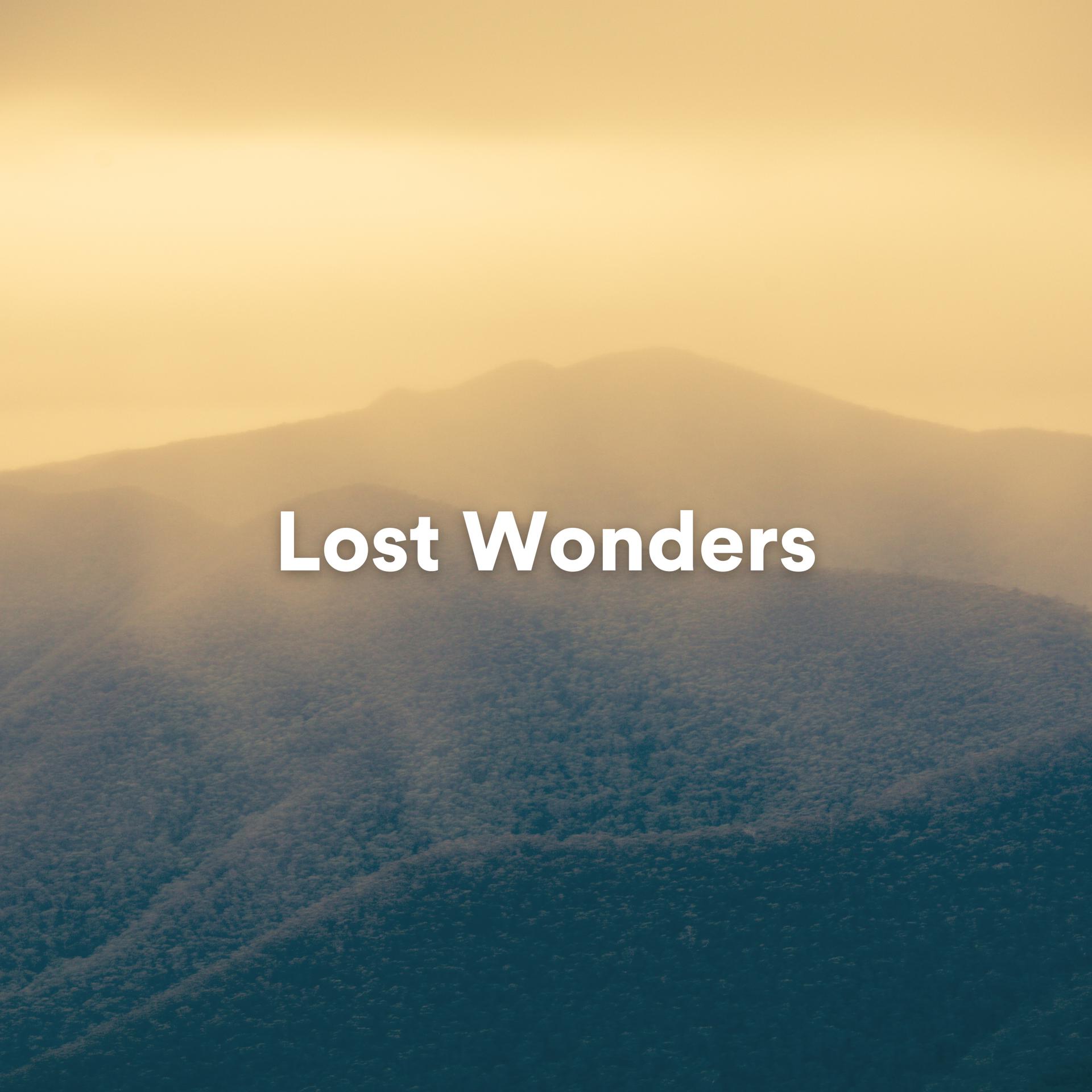 Постер альбома Lost Wonders