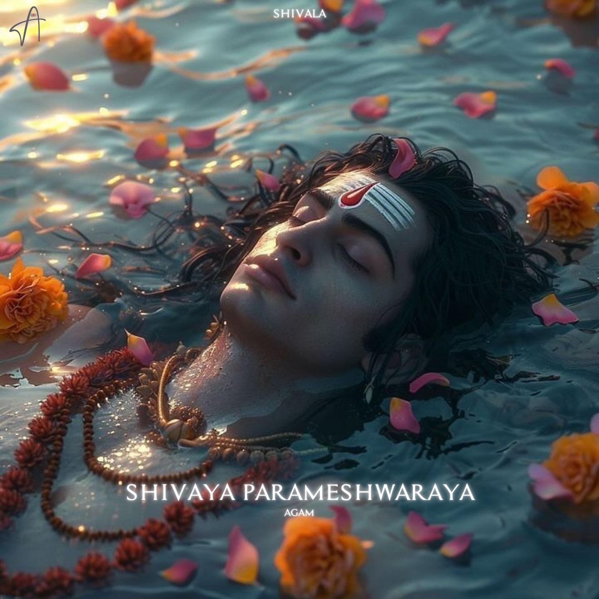 Постер альбома Shivaya Parameshwaraya