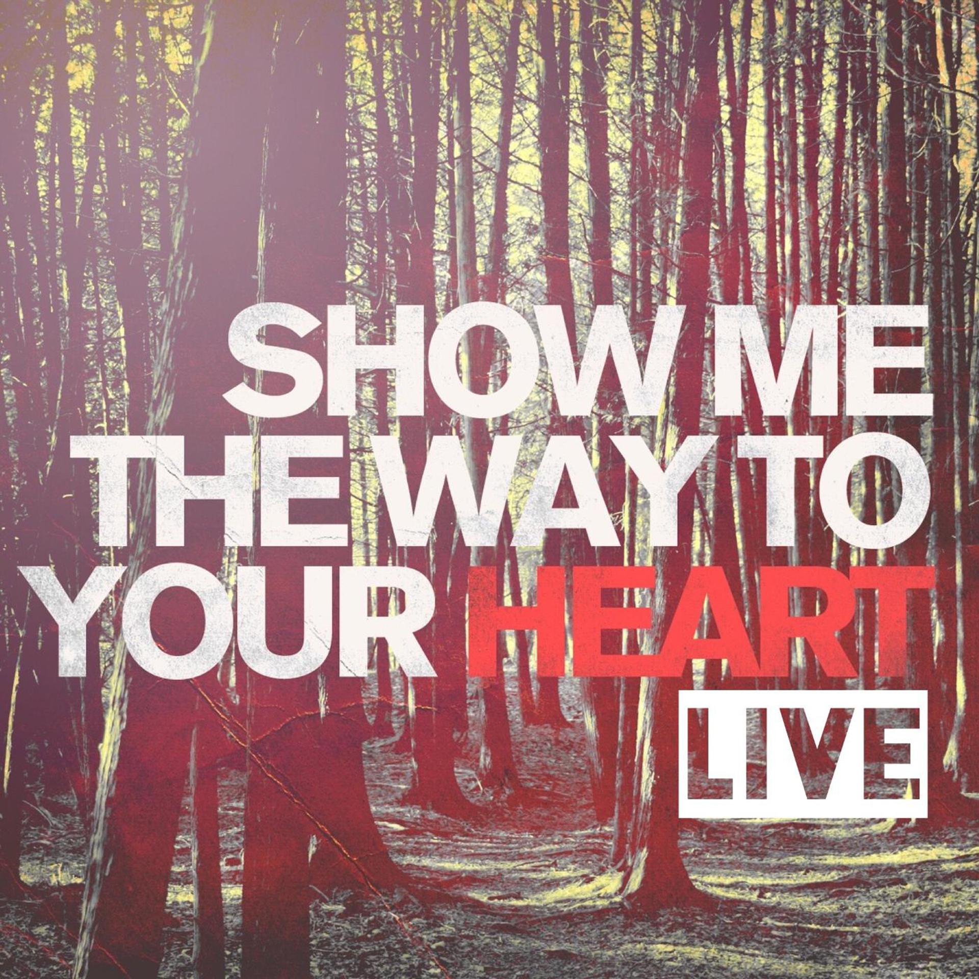 Постер альбома Show Me the Way to Your Heart (Live)