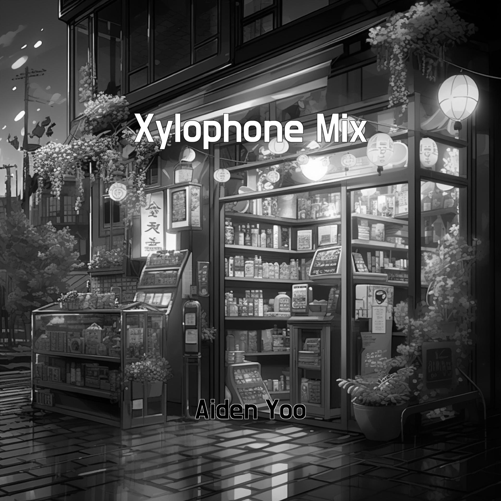 Постер альбома Xylophone Mix