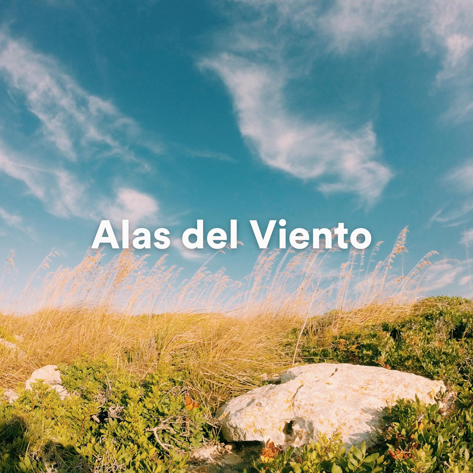 Постер альбома Alas del Viento