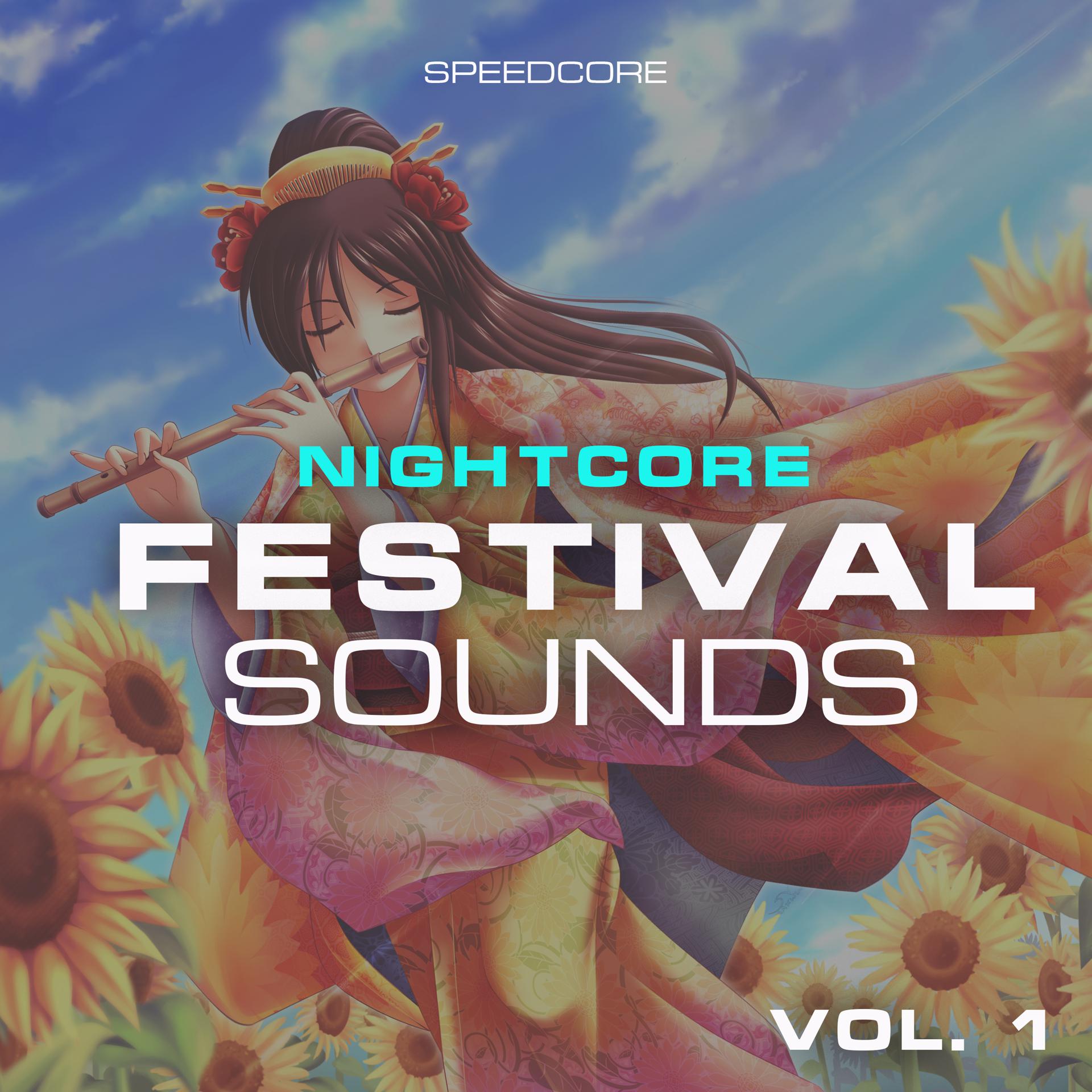 Постер альбома Nightcore Festival Sounds, Vol. 1