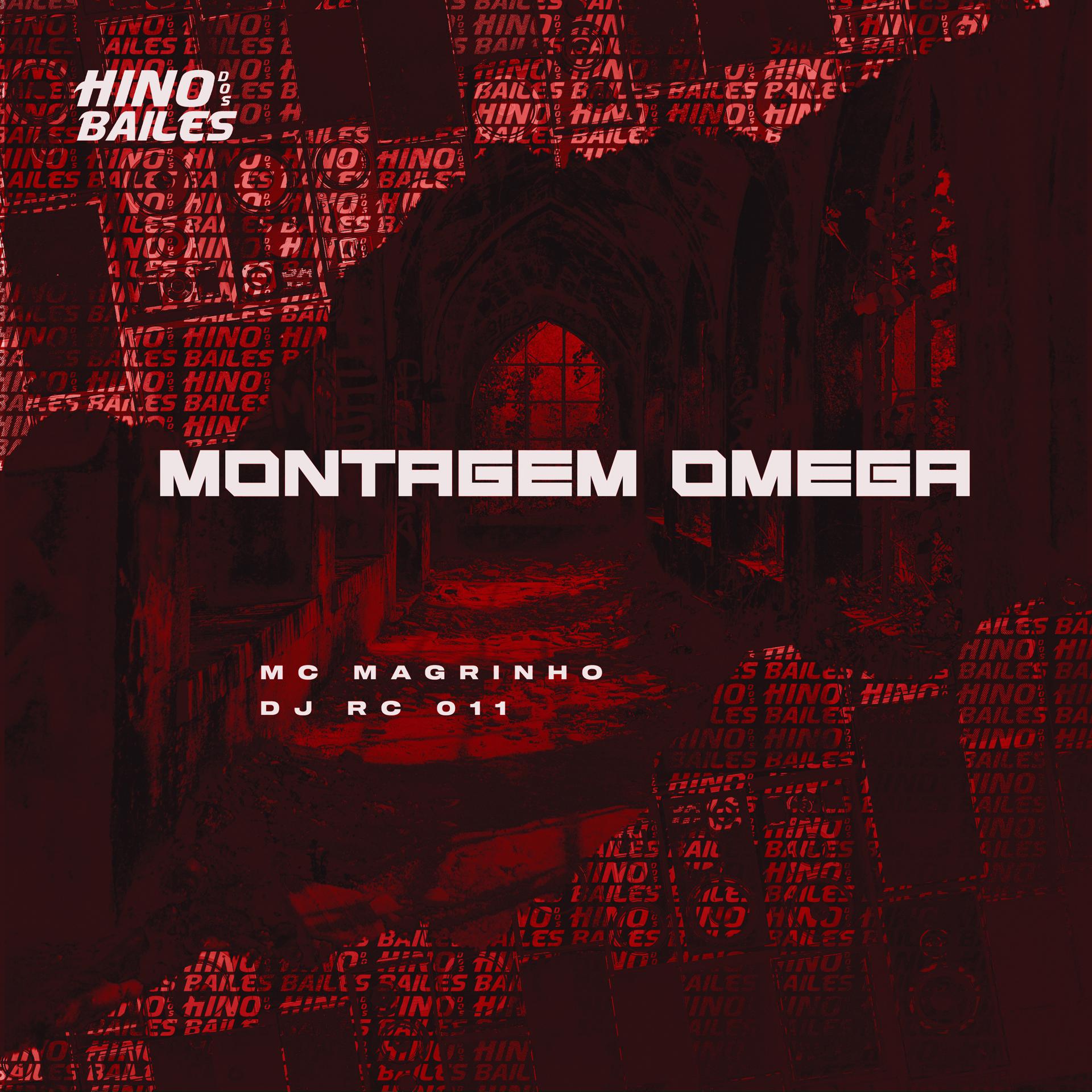 Постер альбома Montagem Omega