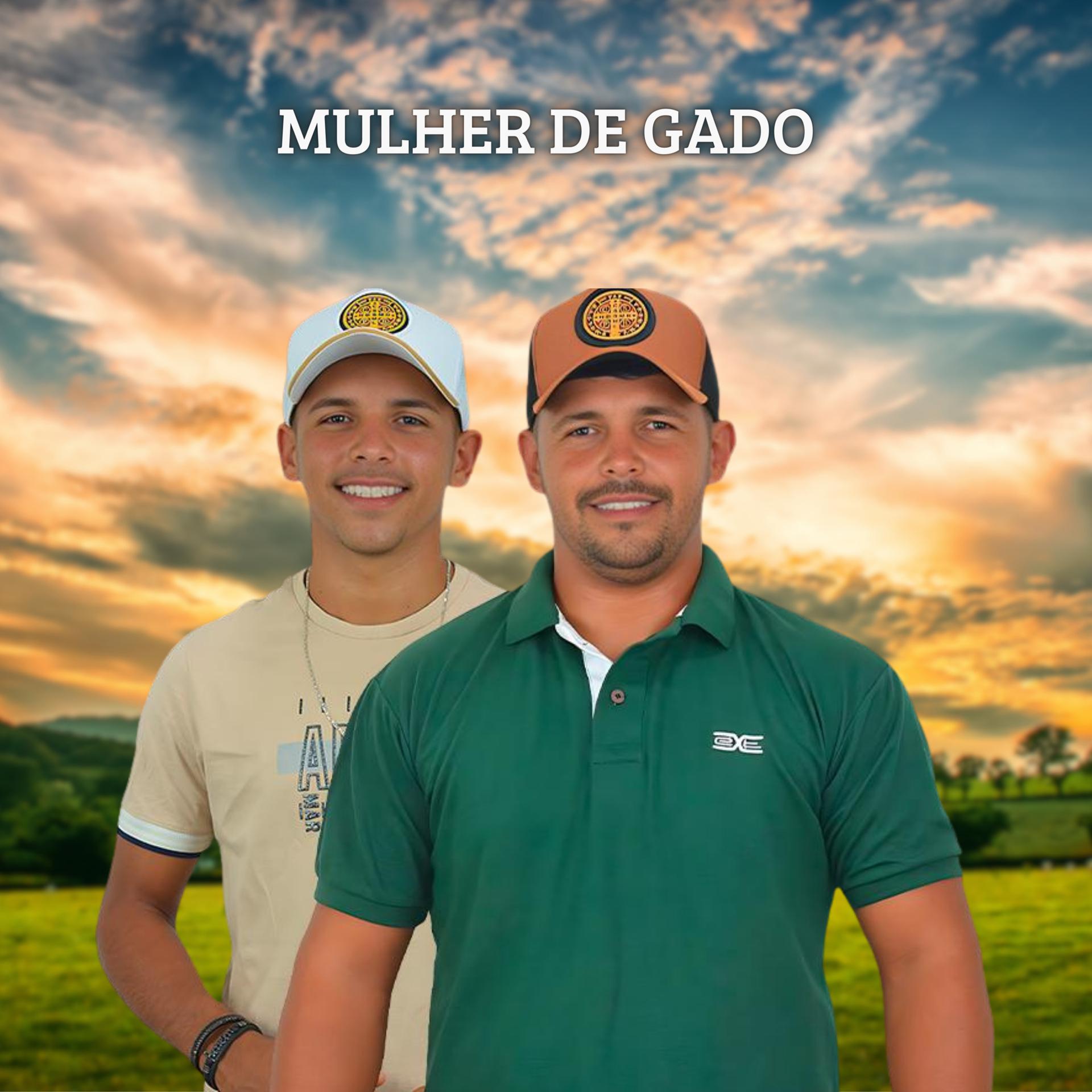 Постер альбома Mulher de Gado