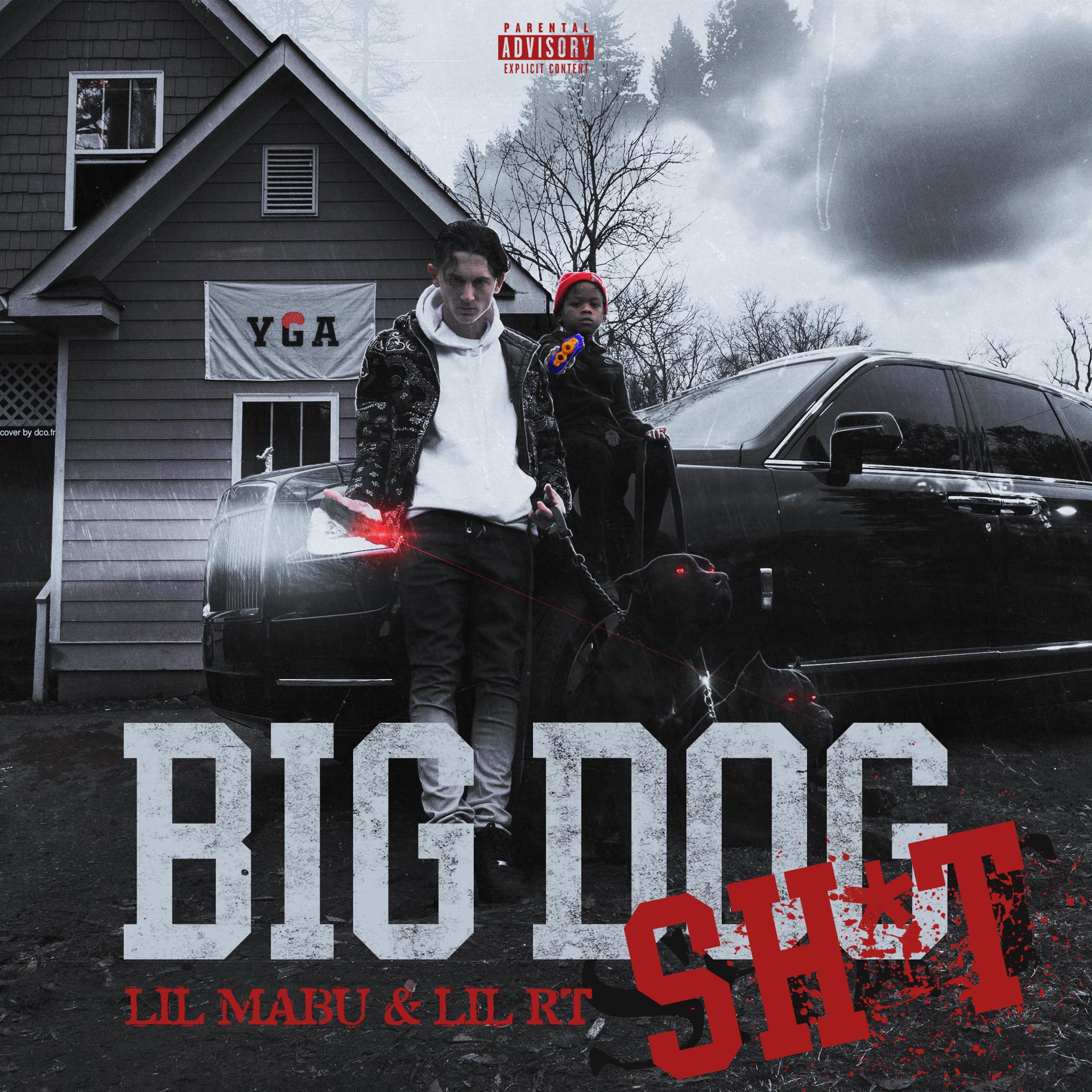 Постер альбома BIG DOG SH*T