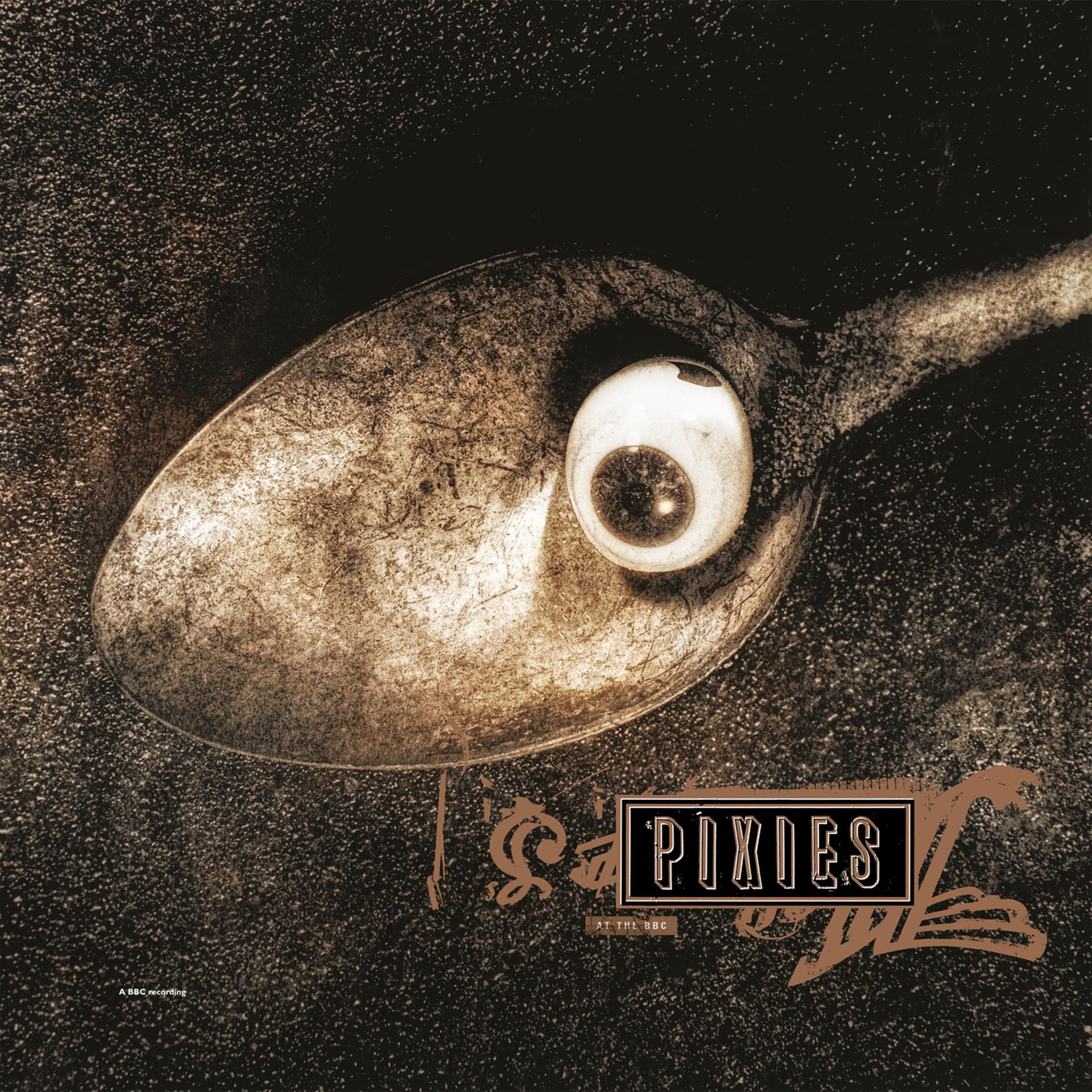 Постер альбома Pixies at the BBC, 1988-91