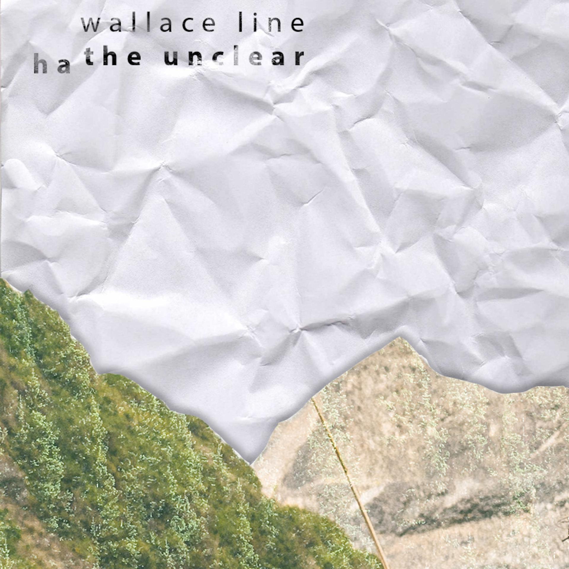 Постер альбома Wallace Line