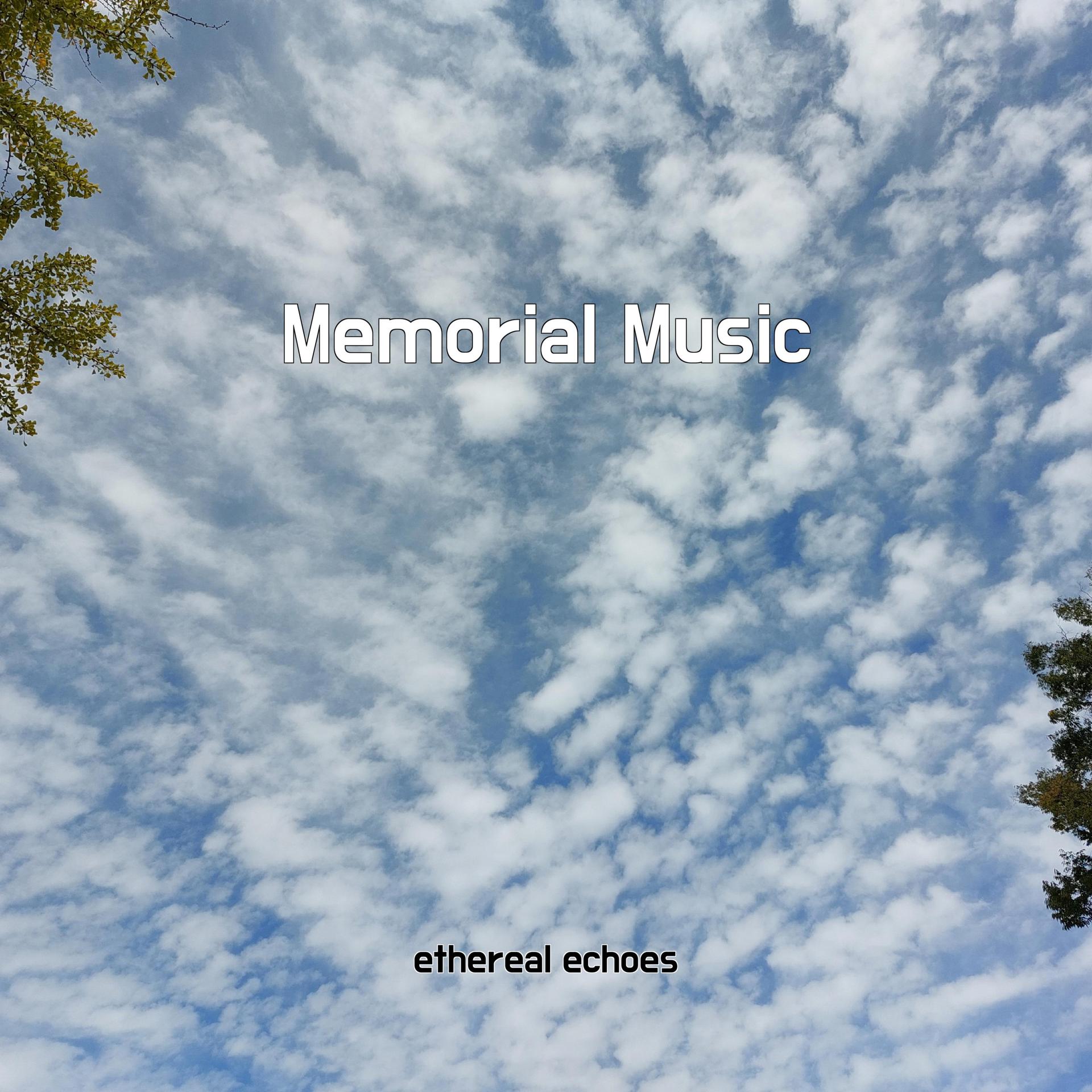 Постер альбома Memorial Music