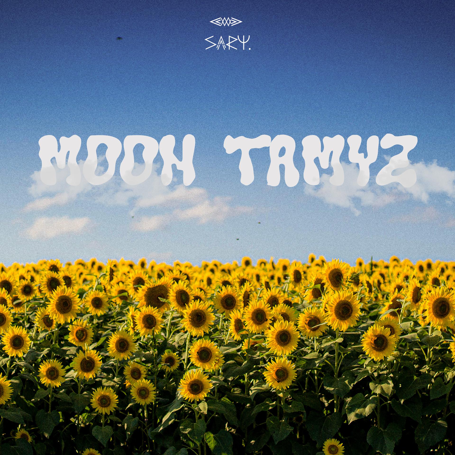 Постер альбома Moon Tamyz