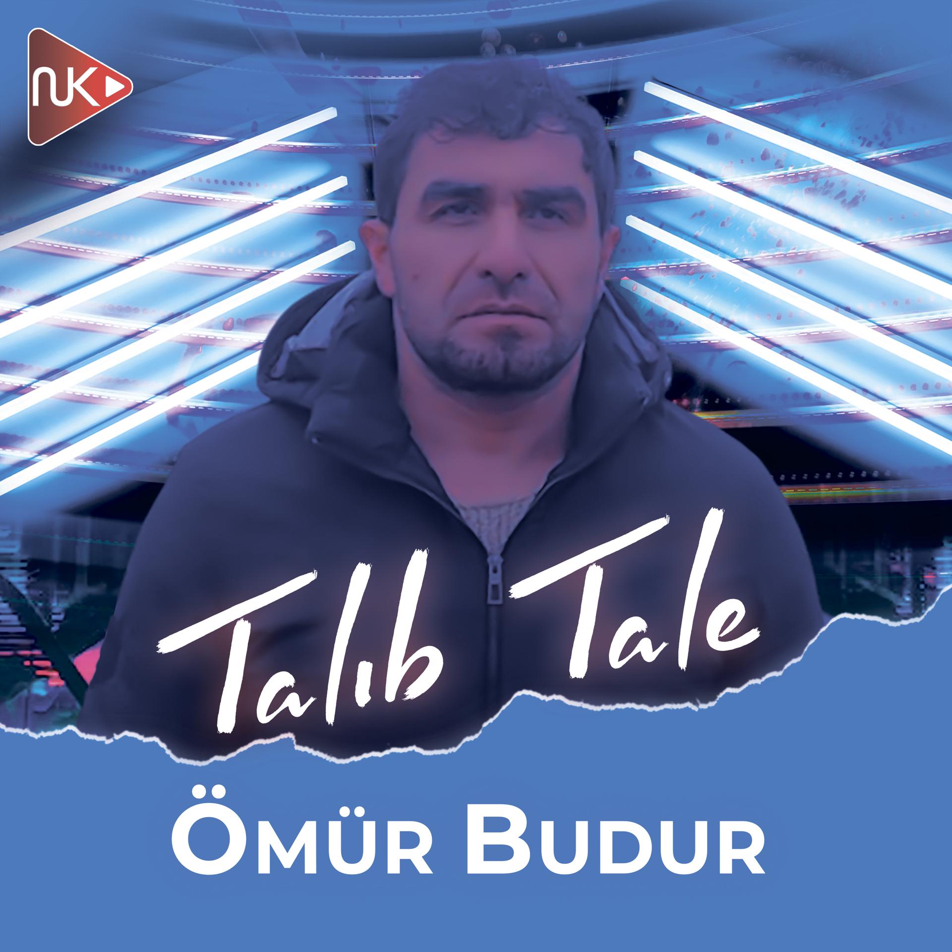 Постер альбома Ömür Budur