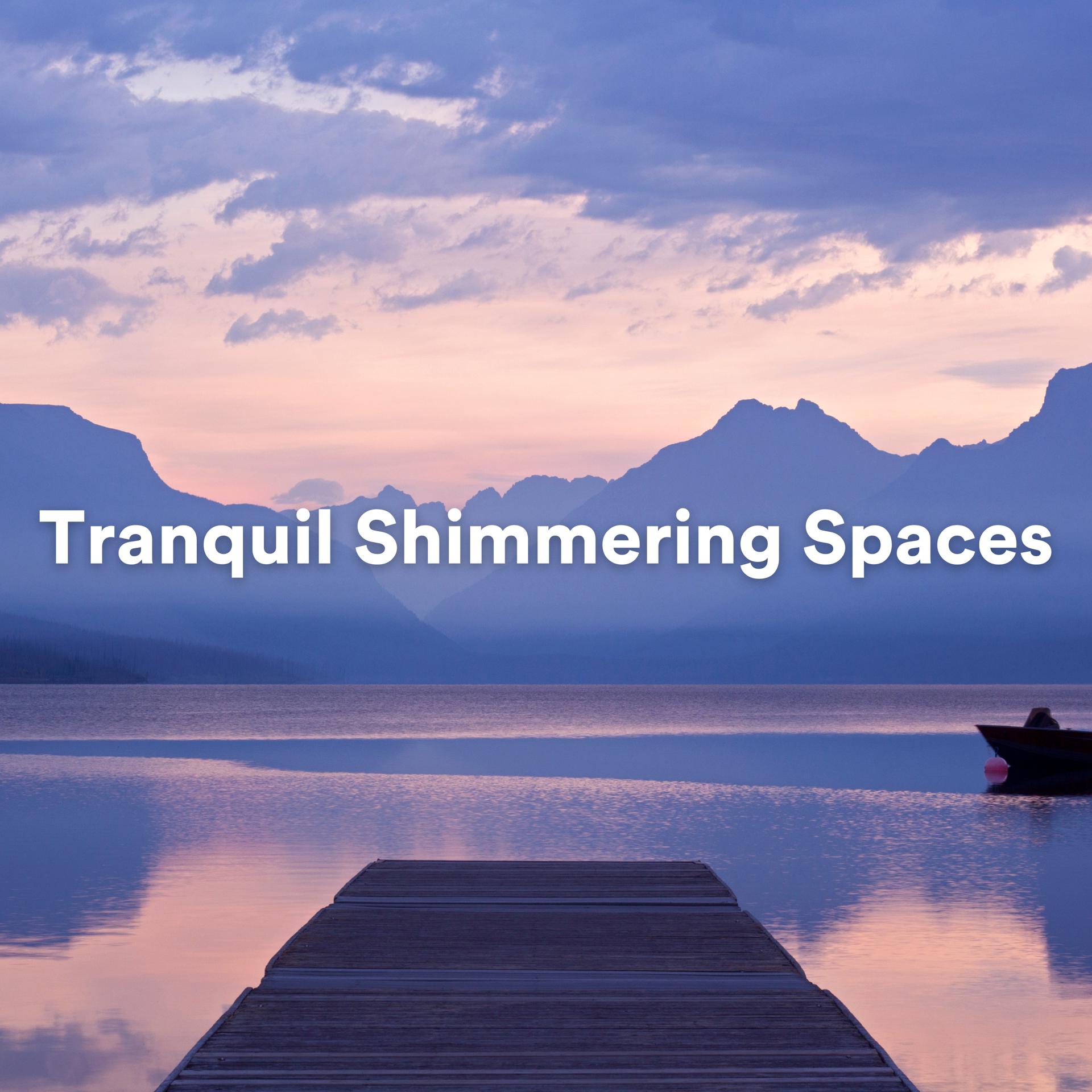 Постер альбома Tranquil Shimmering Spaces