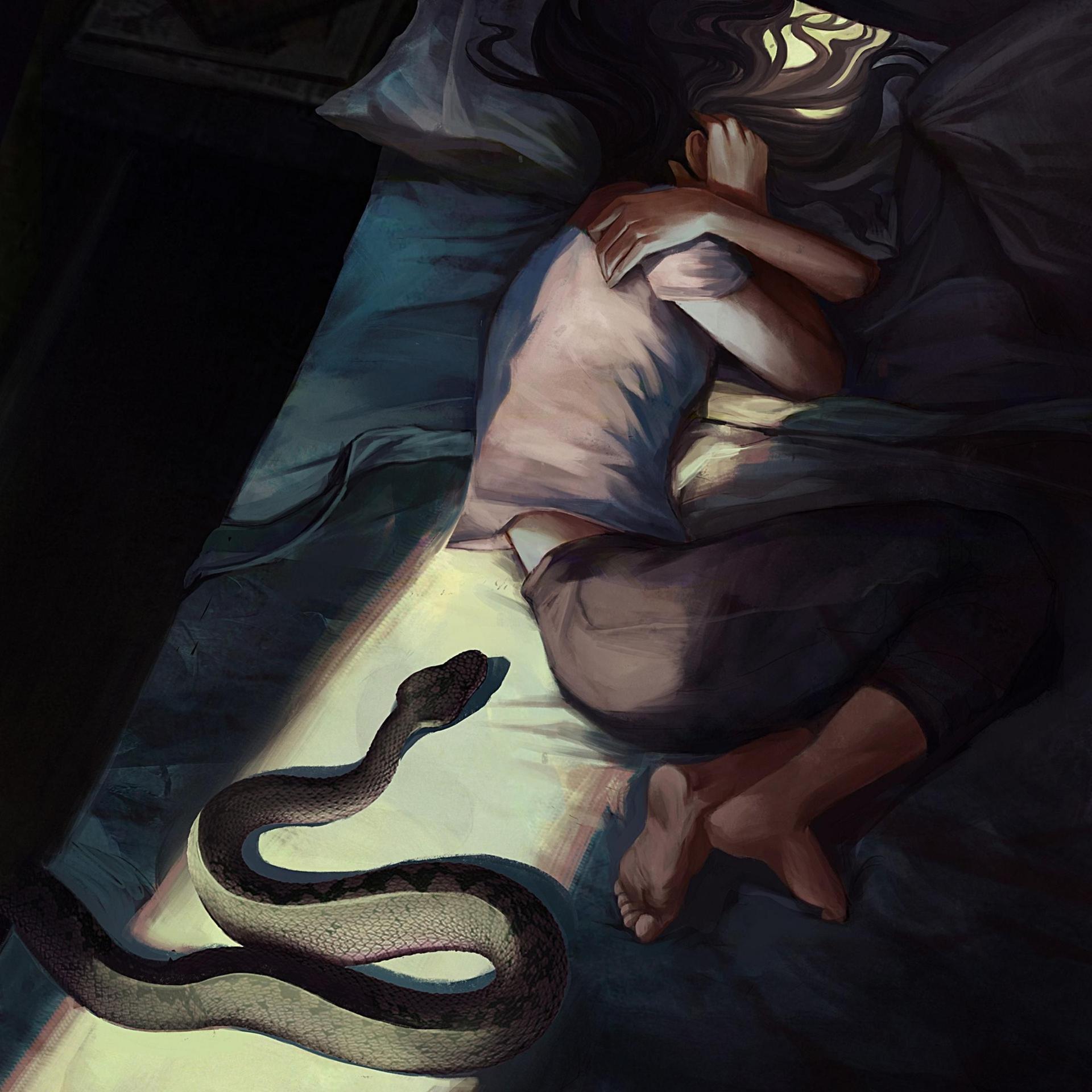 Постер альбома Образ Змеи 2