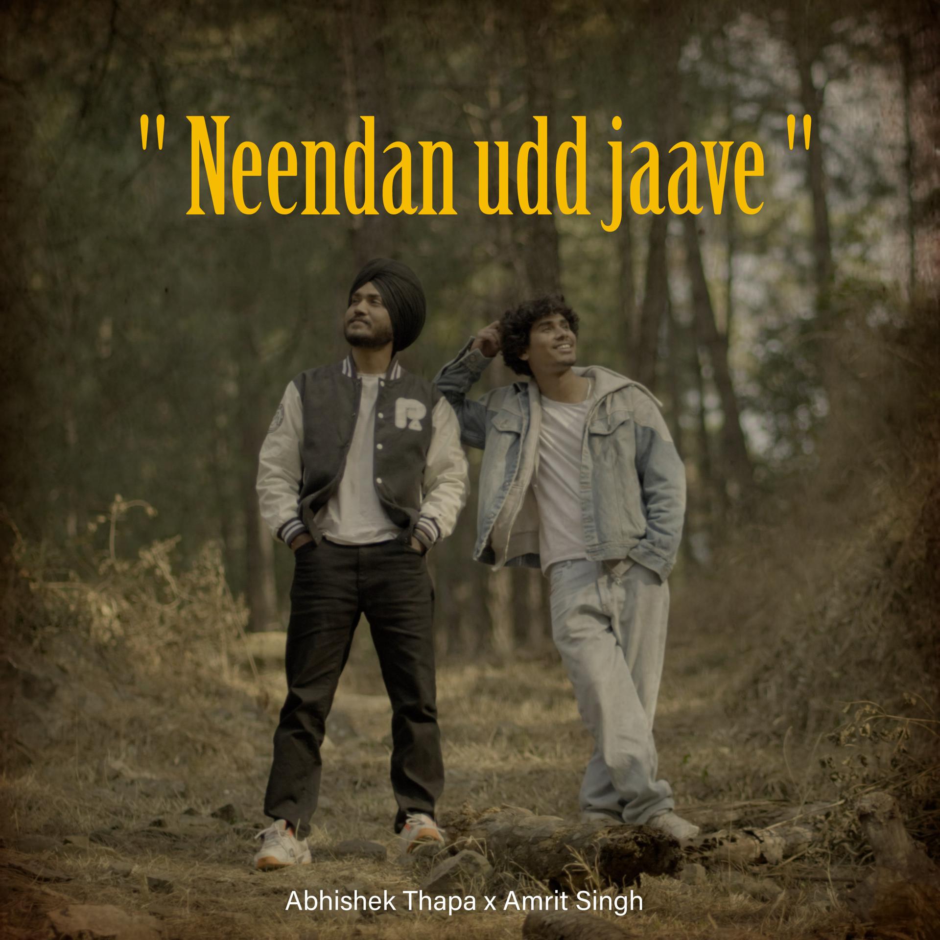 Постер альбома Neendan Udd Jaave
