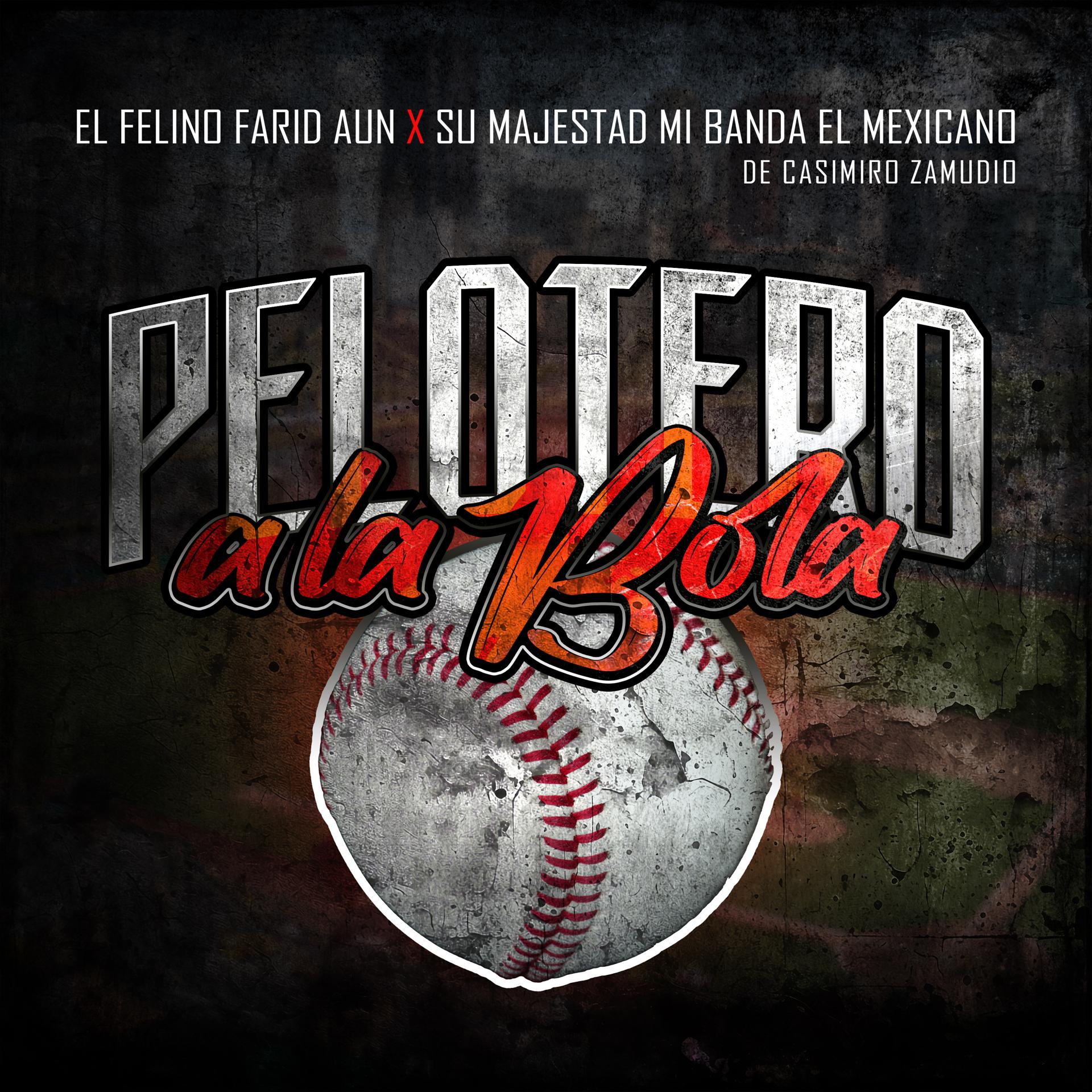 Постер альбома Pelotero a la Bola